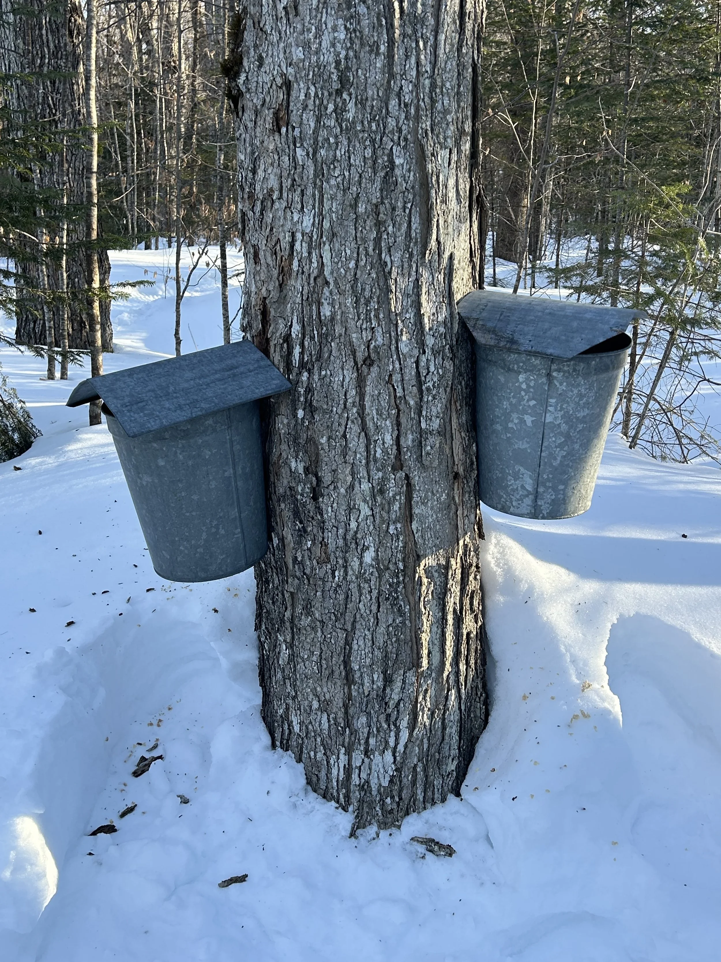 What really needs transformation to improve public education in Vermont