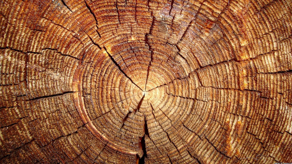 Wood