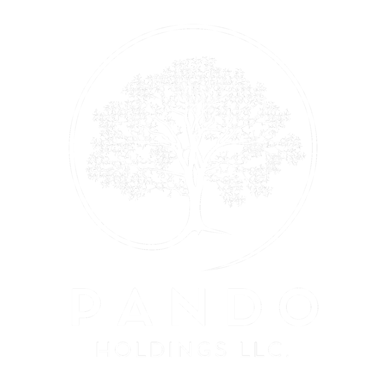 Pando Holdings LLC