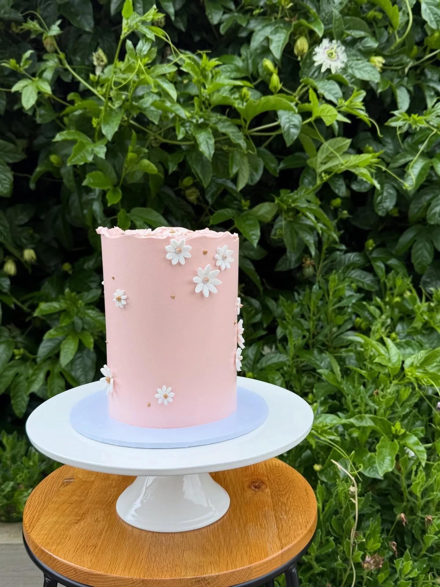 Little daisy cake with matching cuppies. 🌸

#glutenfree #kidscakes #daisycake #1stbirthdaycake #glutenfreecake #geelongglutenfree #glutenfreegeelong #geelongsmallbusiness #geelongweddings #OhEmGitsglutenfree