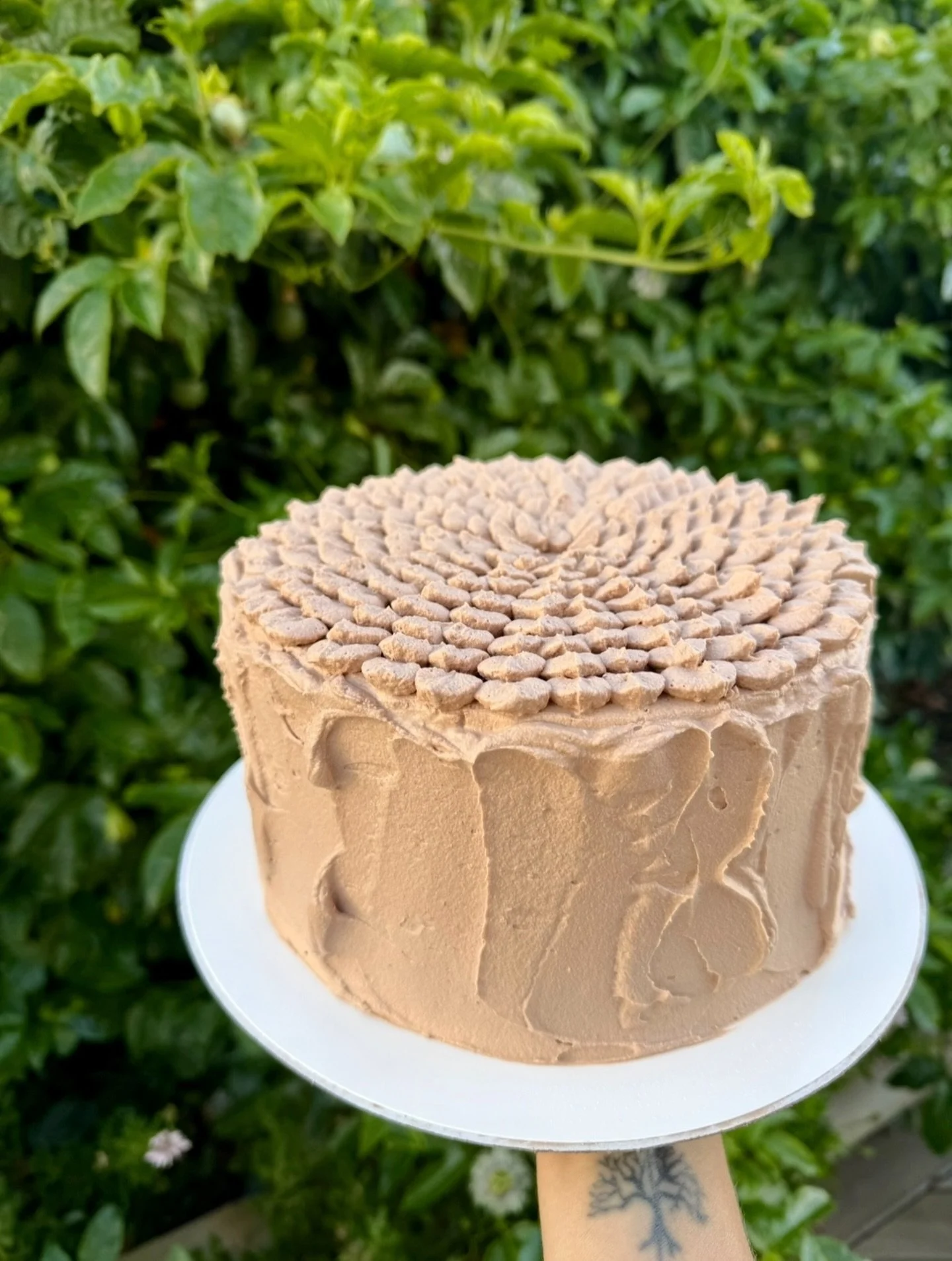 A layered version of a Christmas chocolate log. Light airy layers of chocolate sponge covered in chocolate whipped cream. When you want a chocolate overload, but want to keep it light 💁🏼&zwj;♀️ delish!

#glutenfree #glutenfreeweddings #chocolatespo
