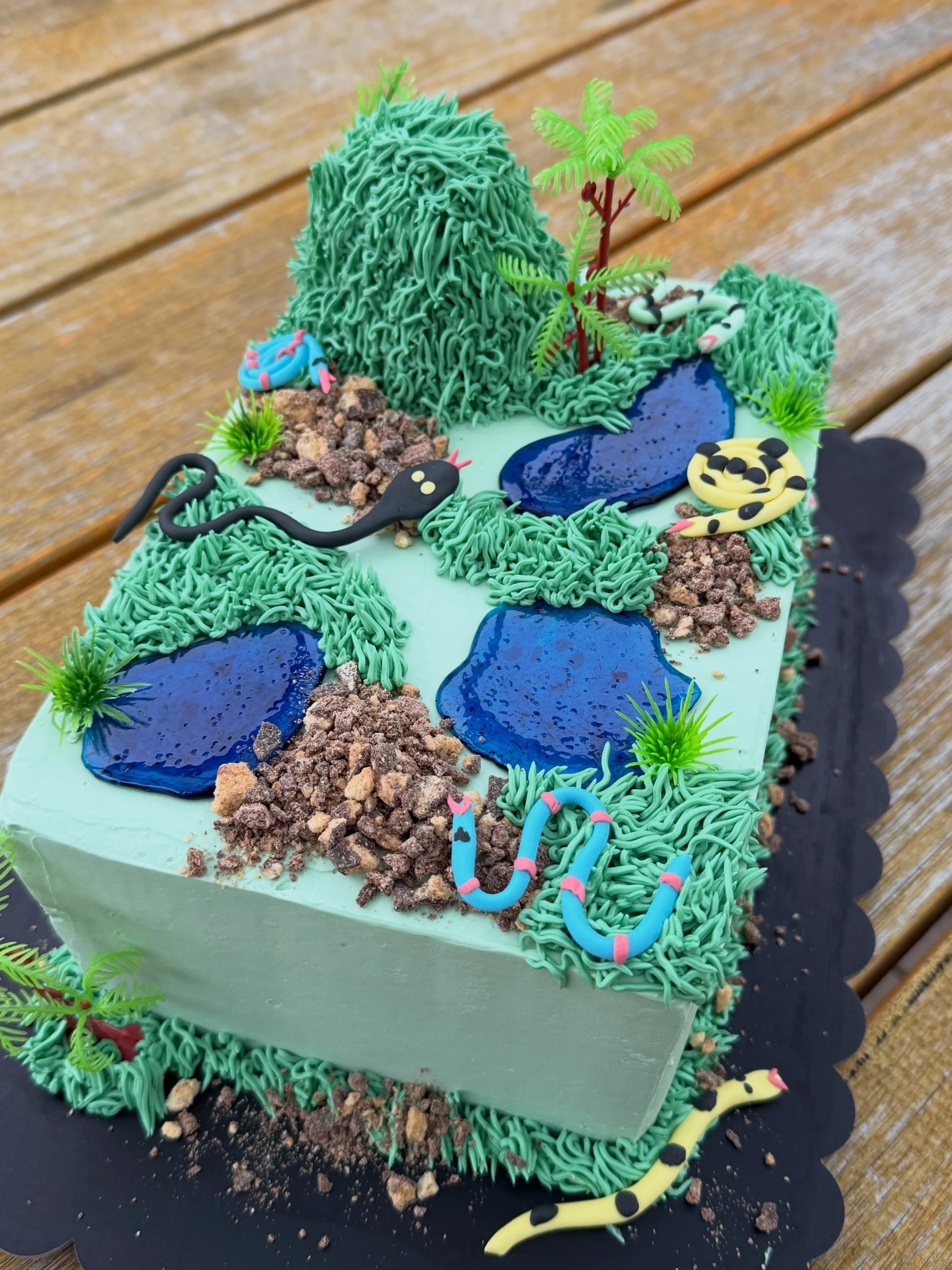A bit different to my normal cakes, but my now 7 year old requested a snake cake (with very specific criteria) for his birthday a couple weeks ago, and here&rsquo;s the result 😊 🐍 

#glutenfreecake #snakecake #geelongsmallbusiness #geelongglutenfre