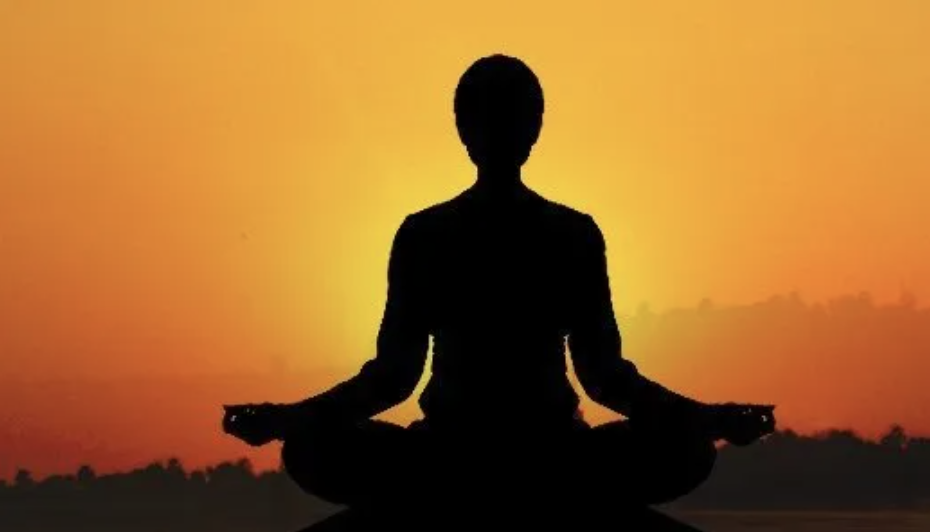 Annual Summer Retreat- Entry into Vipassana – Coming Face-to-Face with Reality