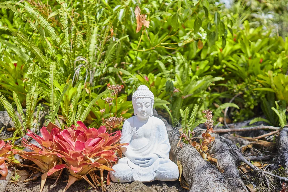 The Journey Home: Loving-Kindness and Compassion - A Morning with Rob