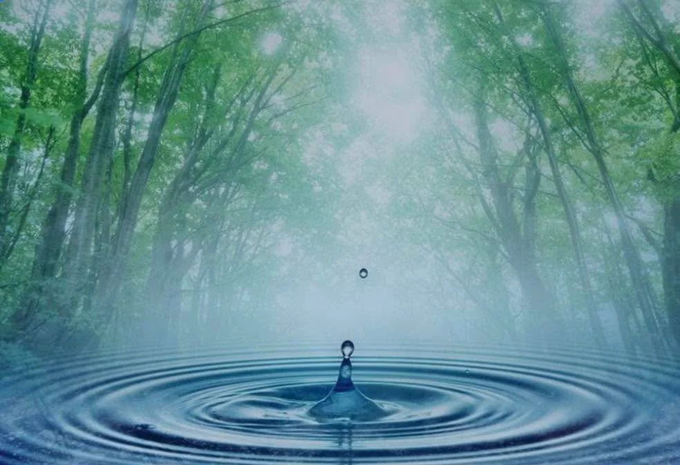 🪷 Chenrezig Institute Outreach Meditation Program 🪷

Warm welcome to join: 

🌿 Caloundra Meditation Group - Embodying Kindness and Compassion - for oneself and others led by Lindsay Pratt, offered every Tuesday at QCWA Caloundra Hall

More informa