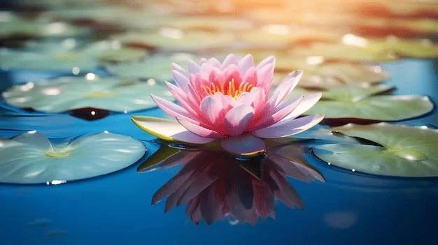 🪷 MEDITATION FOR PEACEFUL LIVING, with Ven. Tony Beaumont 🪷

🌟Saturday 30 May, 9am -4:45pm, in the Wellbeing Centre

We warmly welcome you to join us for a one-day retreat exploring how to cultivate a peaceful and meaningful life through meditatio
