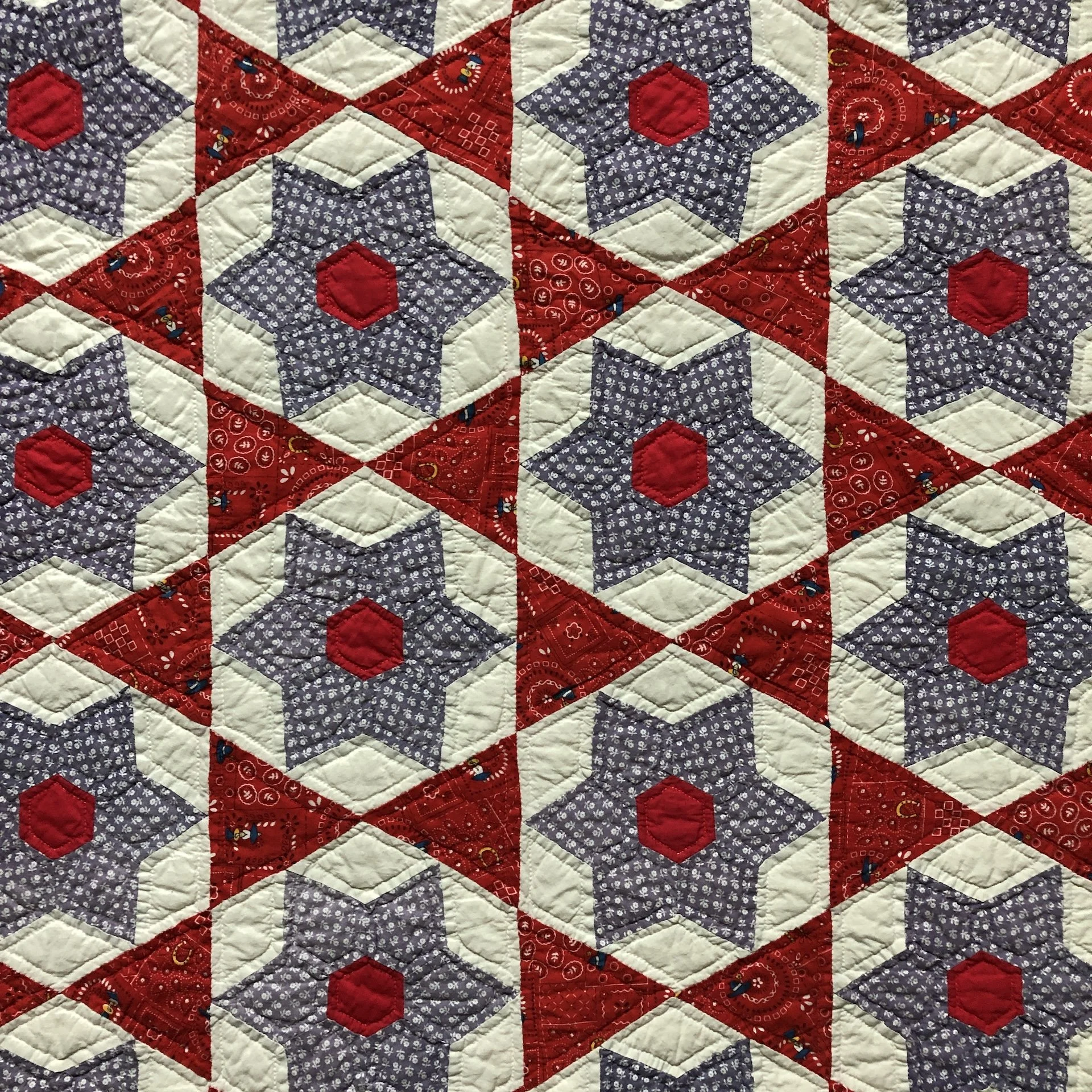 Quilting DNA - by Michael R. Stevenson — Gallery of Textile Art -- SAQA ...