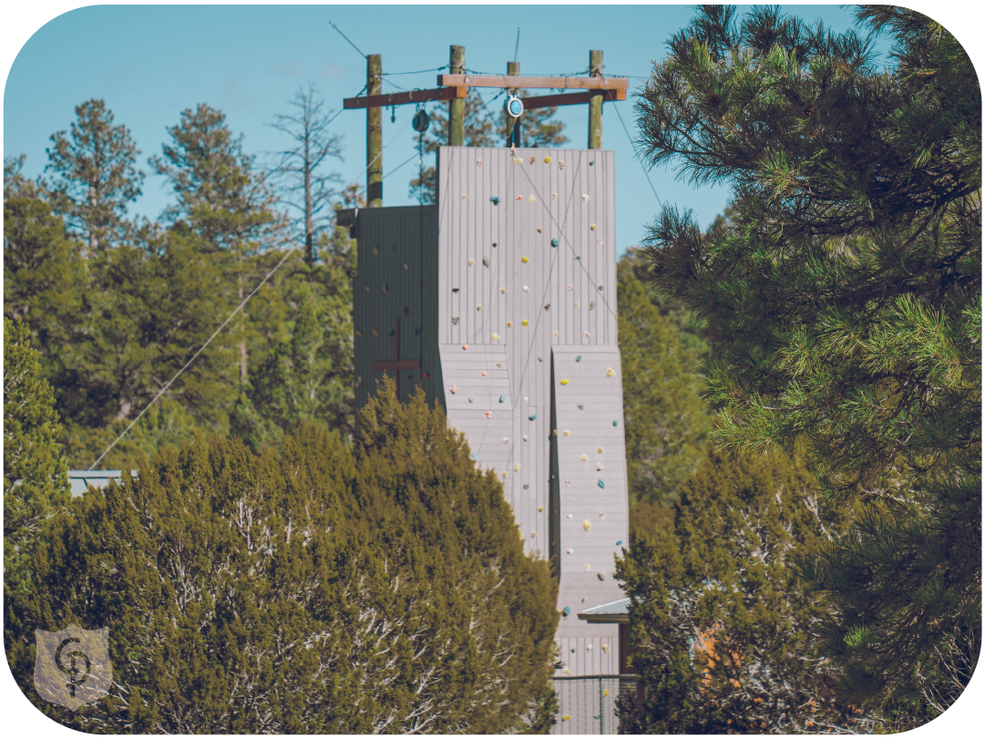 Climbing Web Car.png