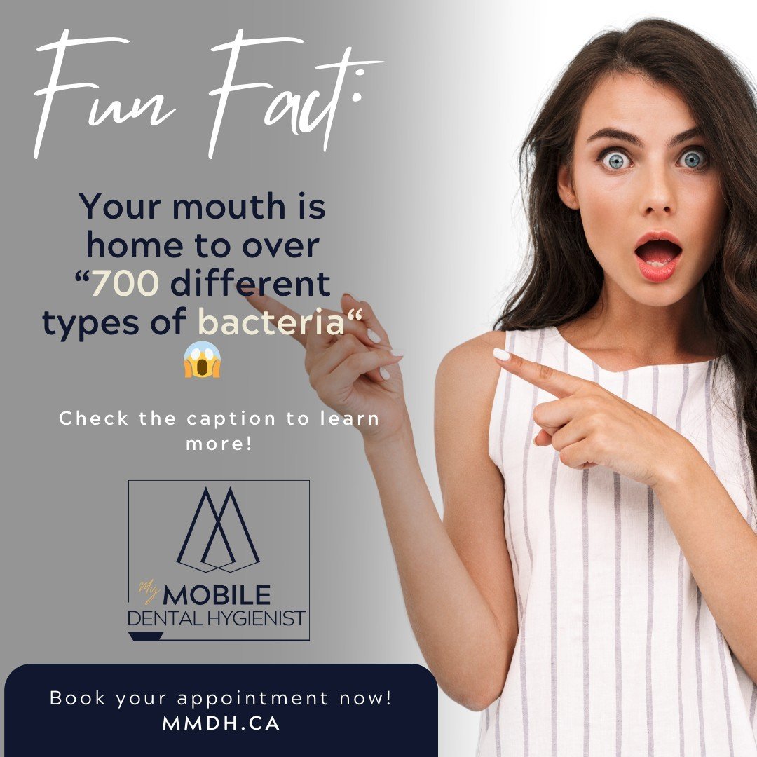 Fun Fact: Your mouth is home to over 700 different types of bacteria! 😱 
Don't worry though, most are harmless. 
With our mobile dental hygienist service, we'll help you maintain a healthy balance and keep those bacteria in check. 
Book your appoint