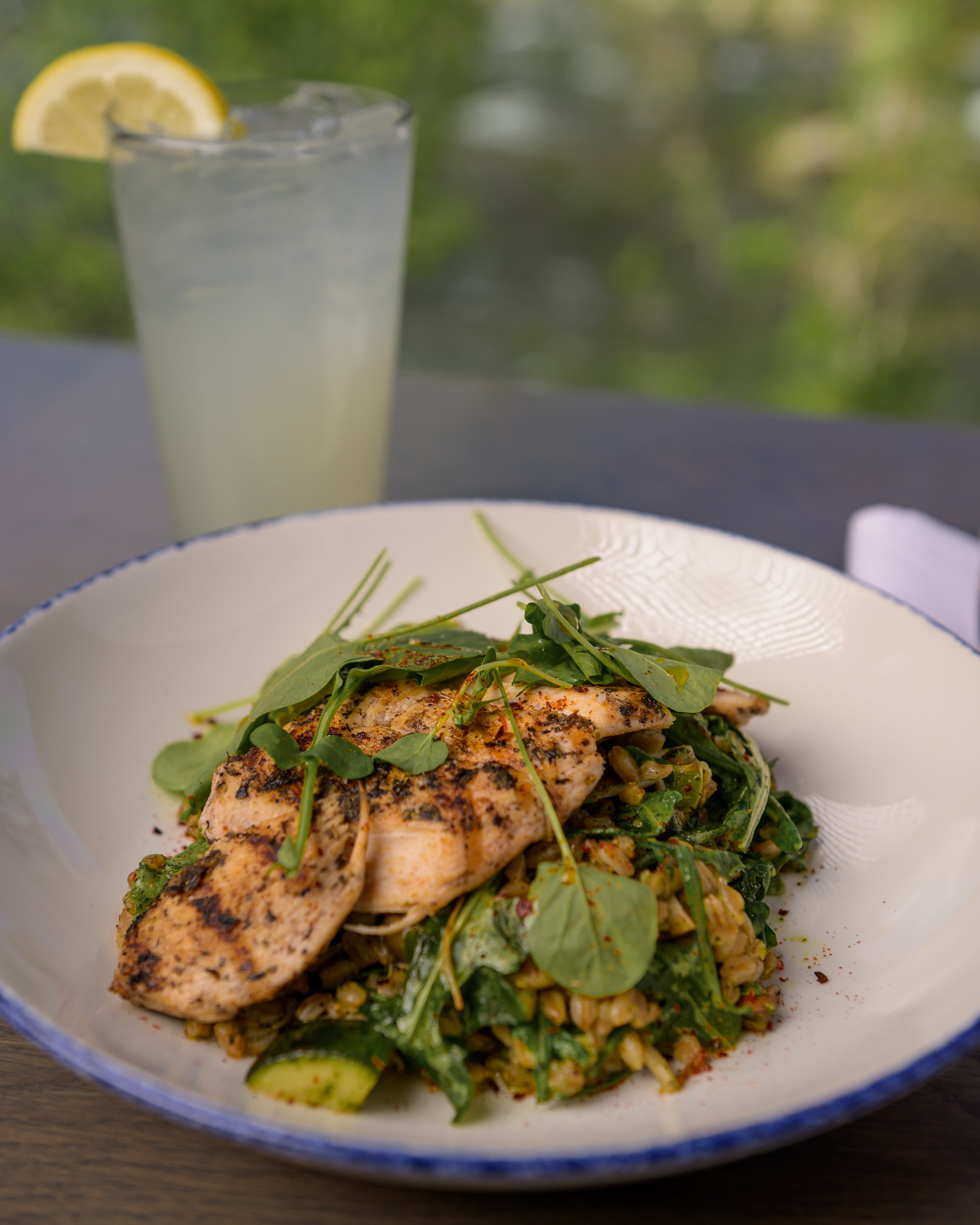 The Shore_05_08_2025 021.jpg