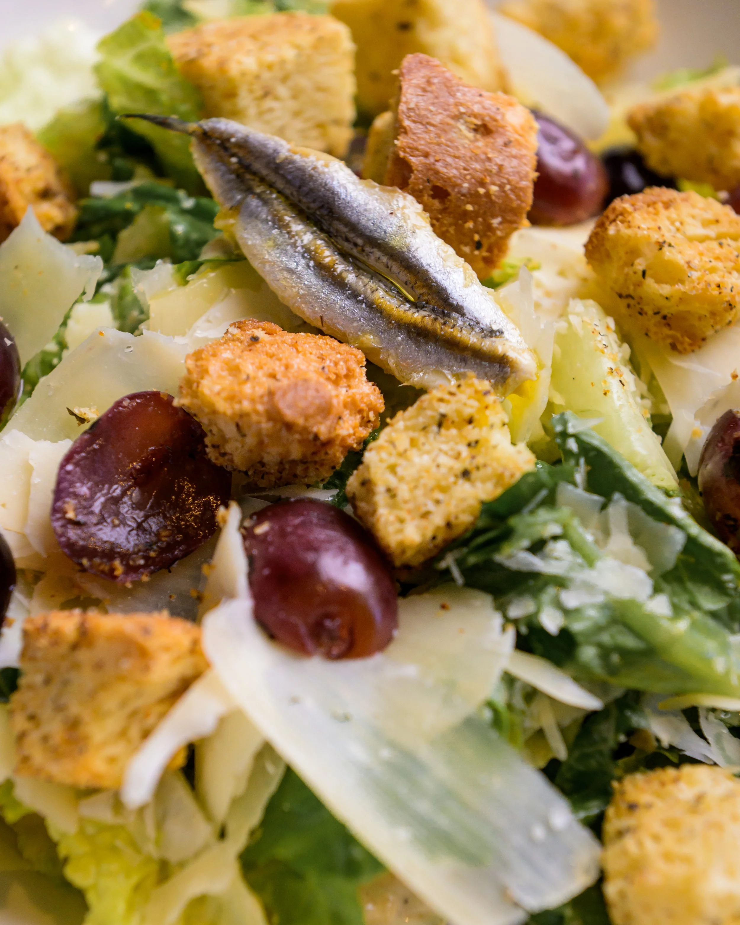 The Shore_05_08_2025 014.jpg