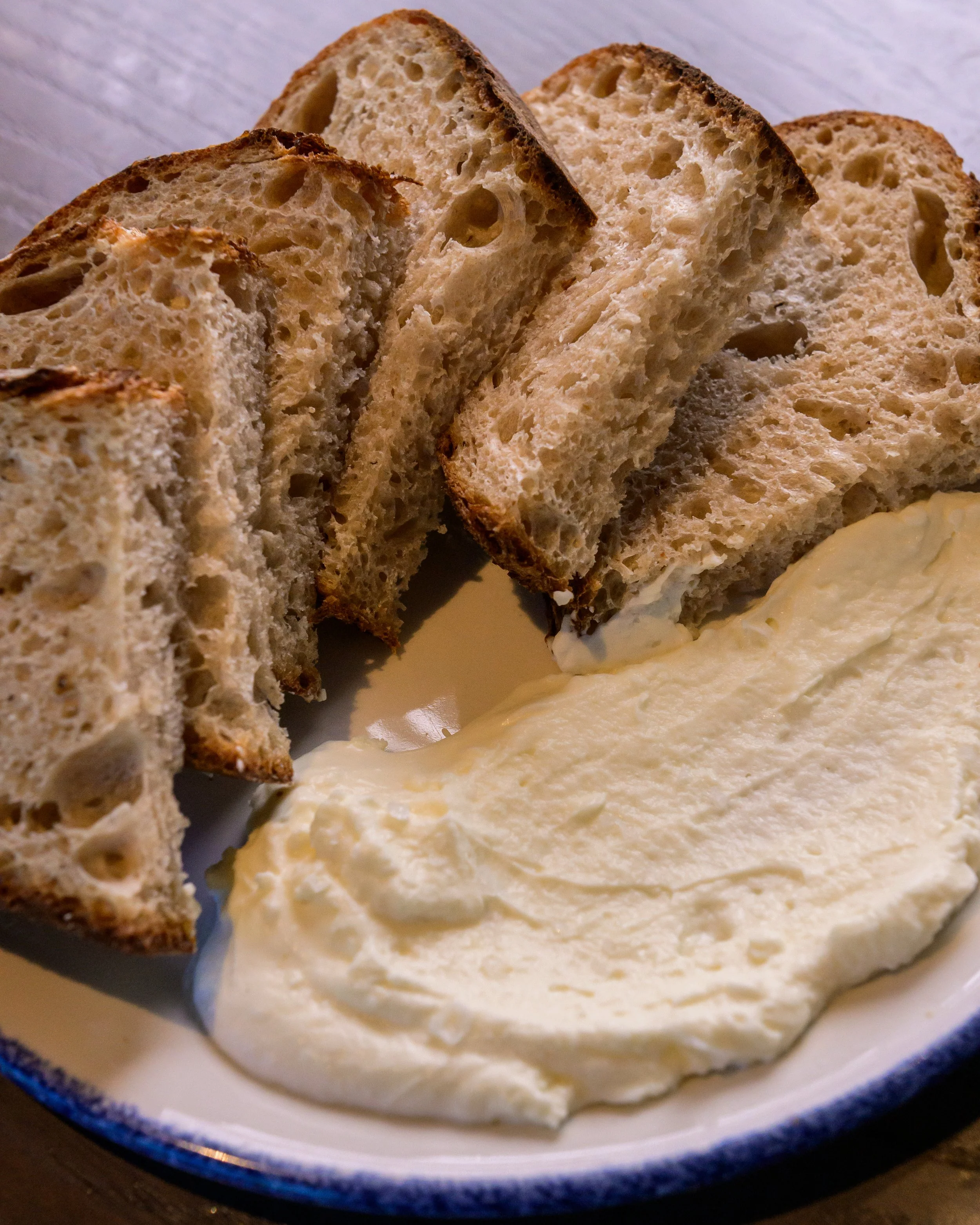 The Shore_05_08_2025 046.jpg