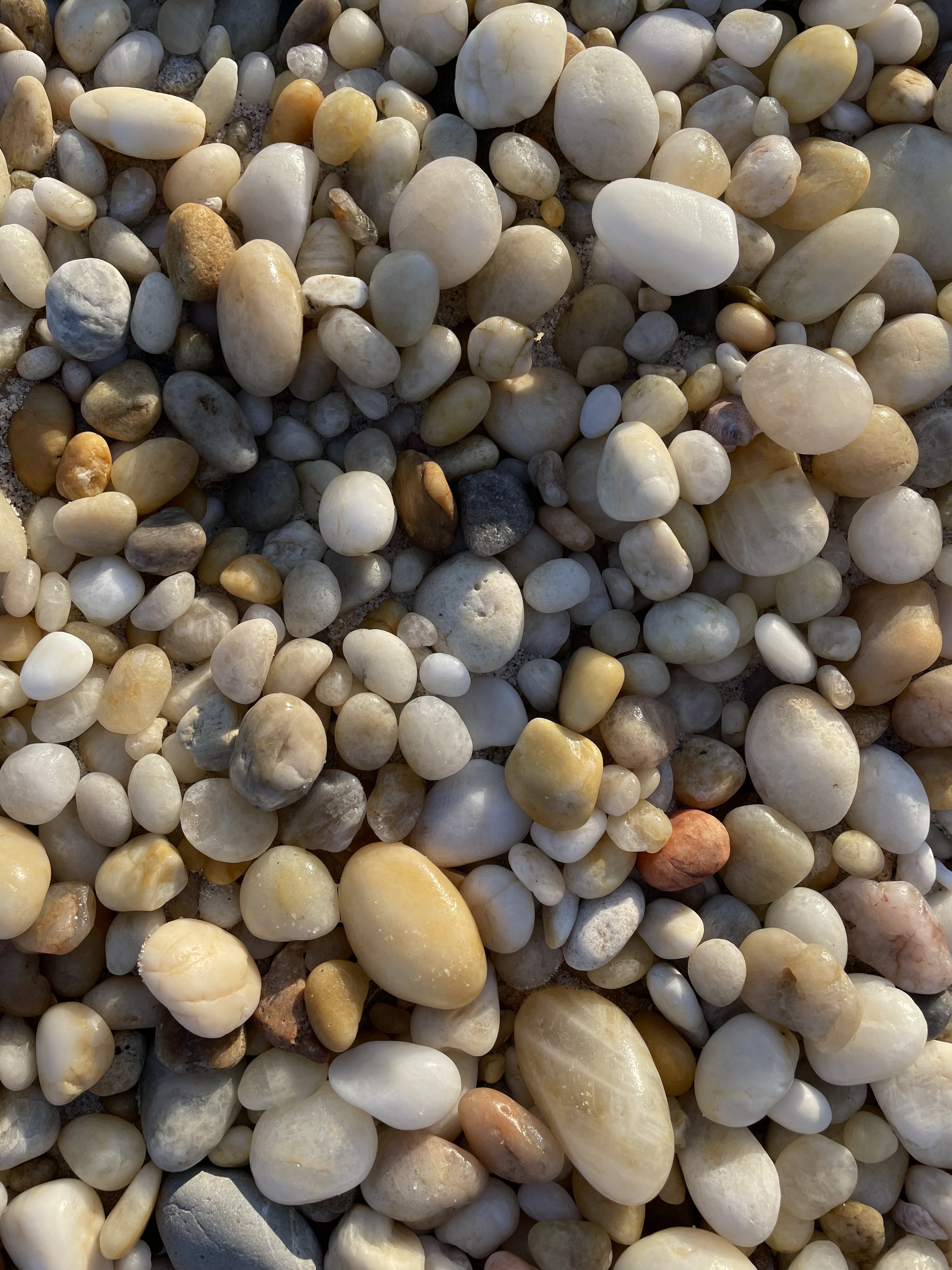 Rocks on Long Island, NY