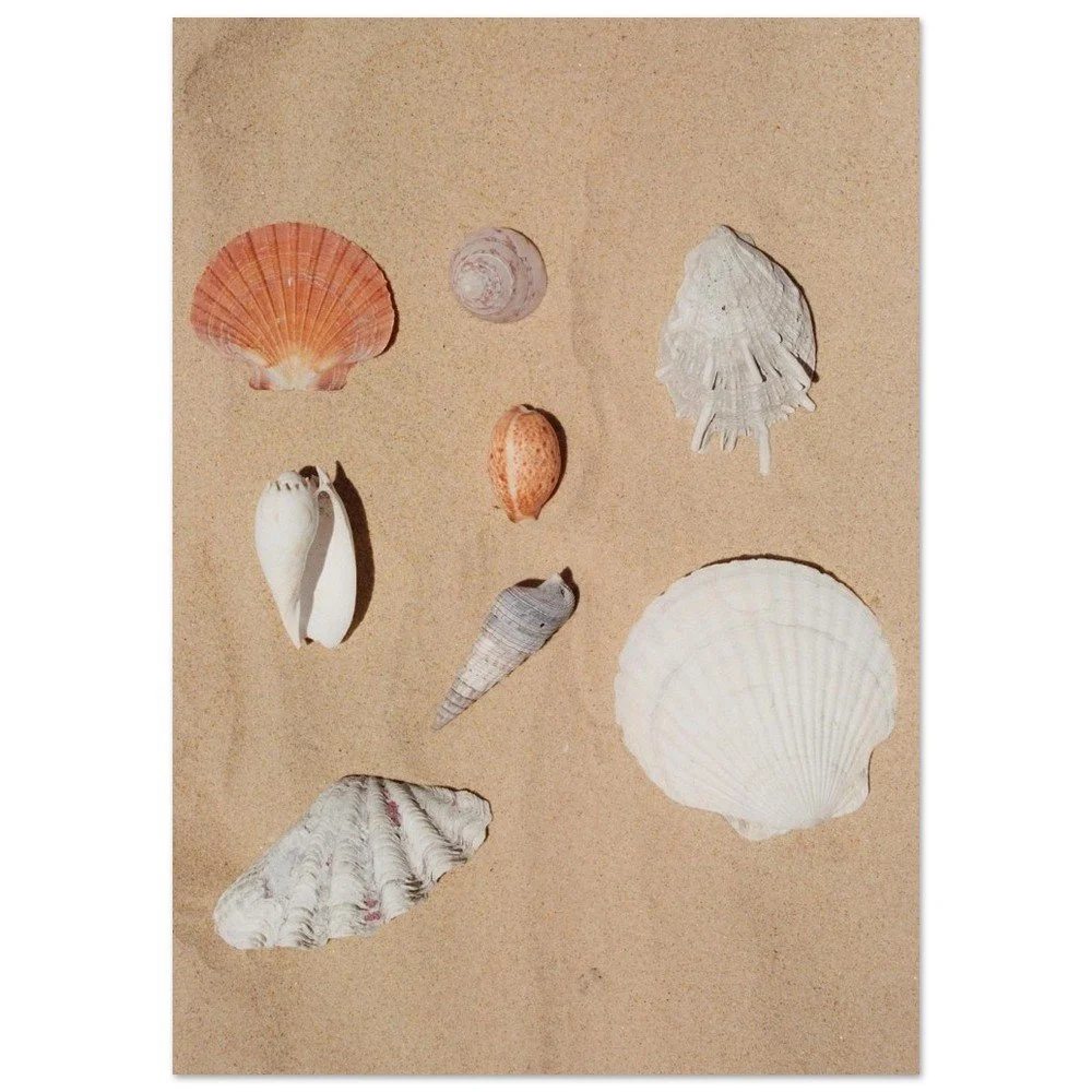 SHELLS