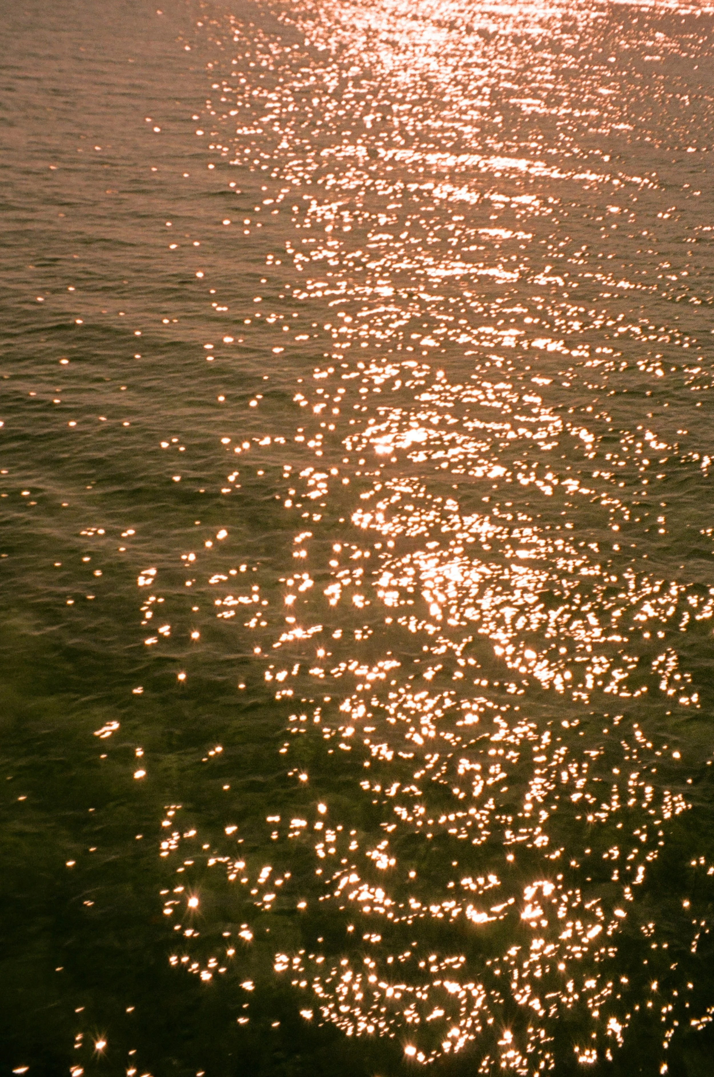 SPARKLE - ByCharleeFilms.jpg