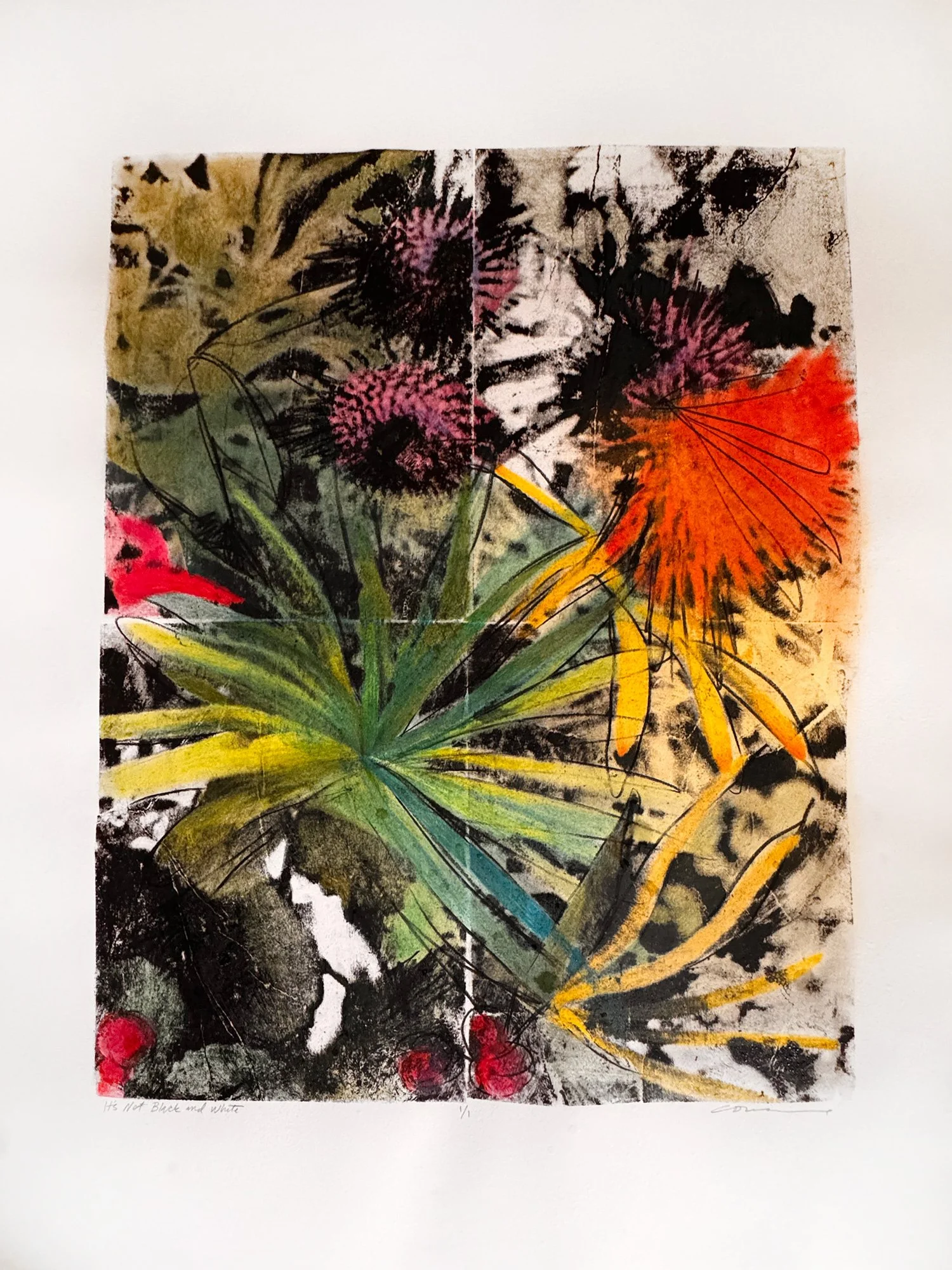 It's Not Black and White, 22wx30h, lithograph with colored pencil and pastel
$1450