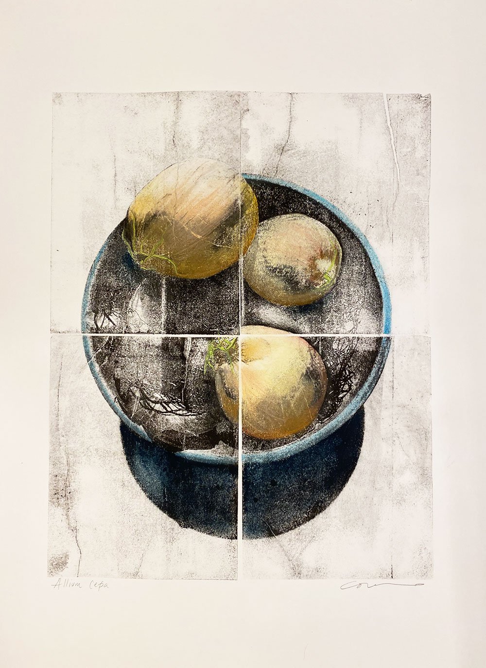 Allium Cepa, 22wx30h, lithograph with pastel and colored pencil
$1450