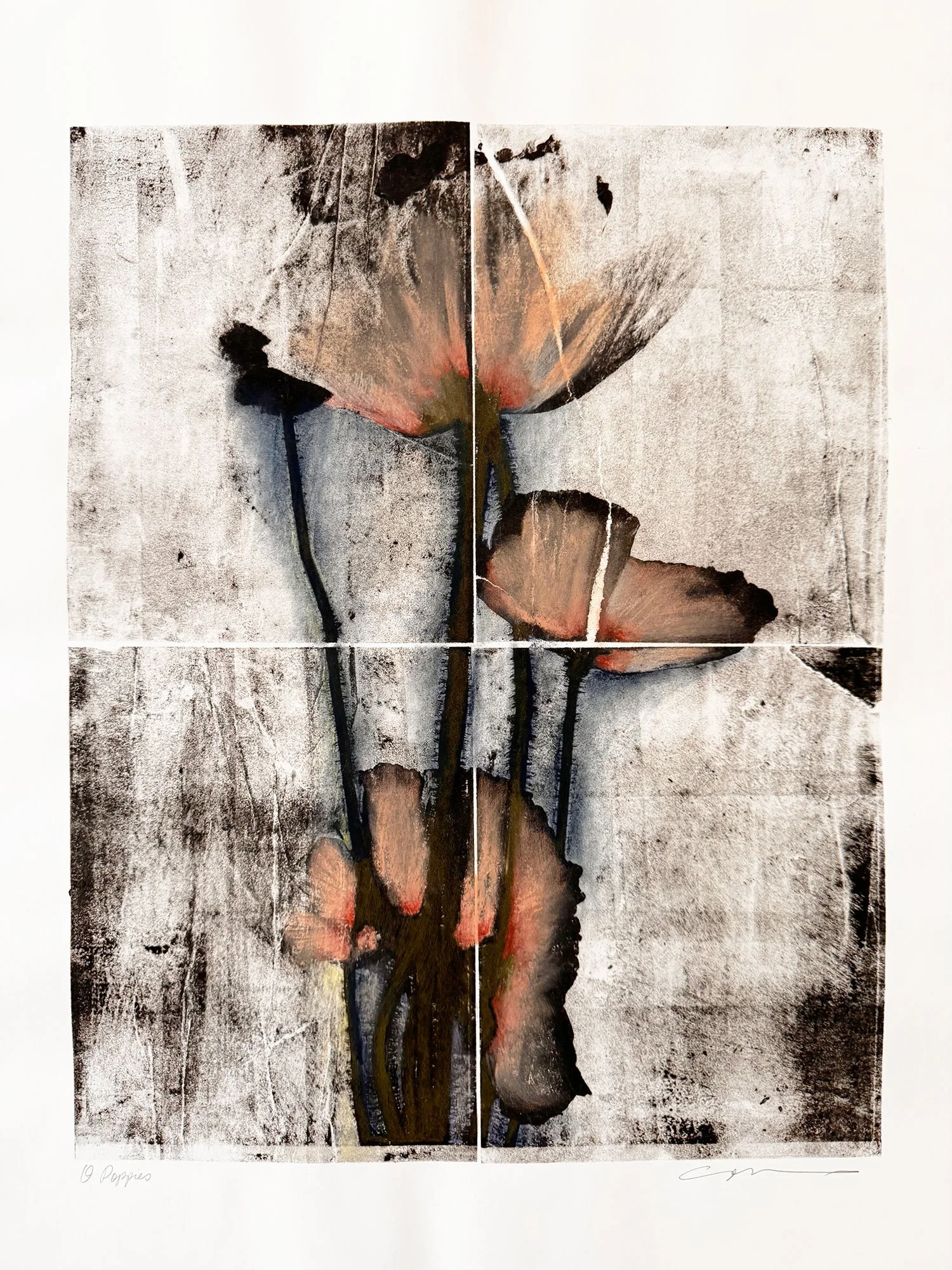 O Poppies, 22wx30h, lithograph with colored pencil and pastel