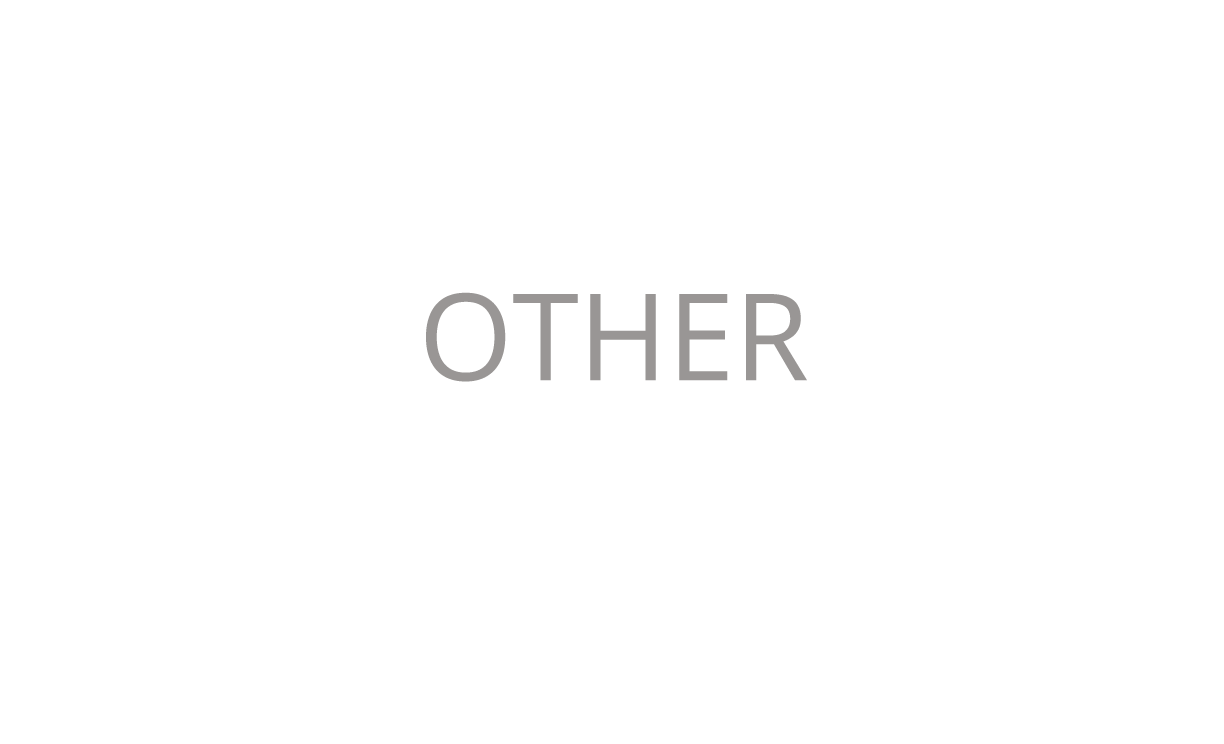 words_other.png