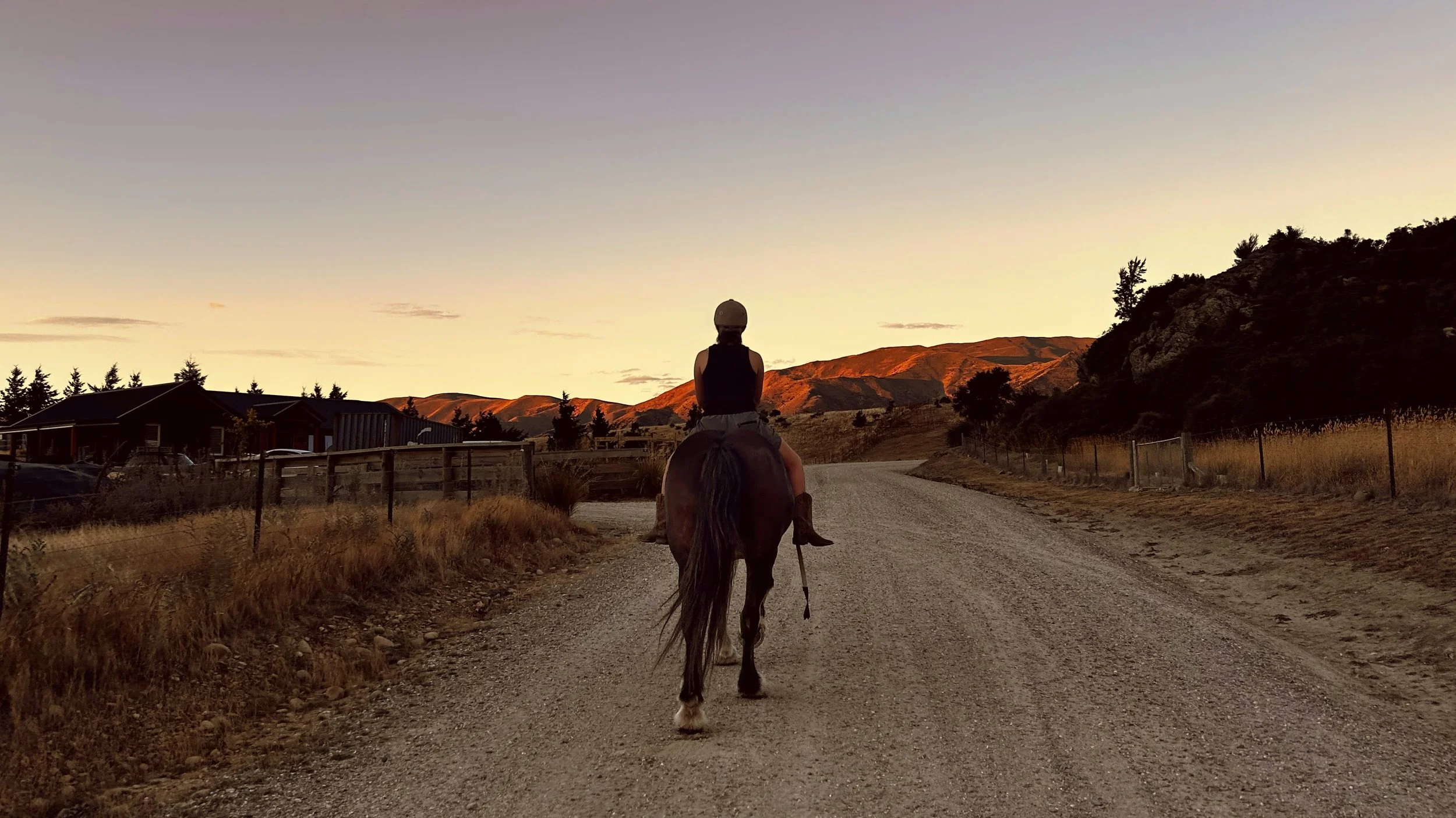 Horse Therapy Wanaka