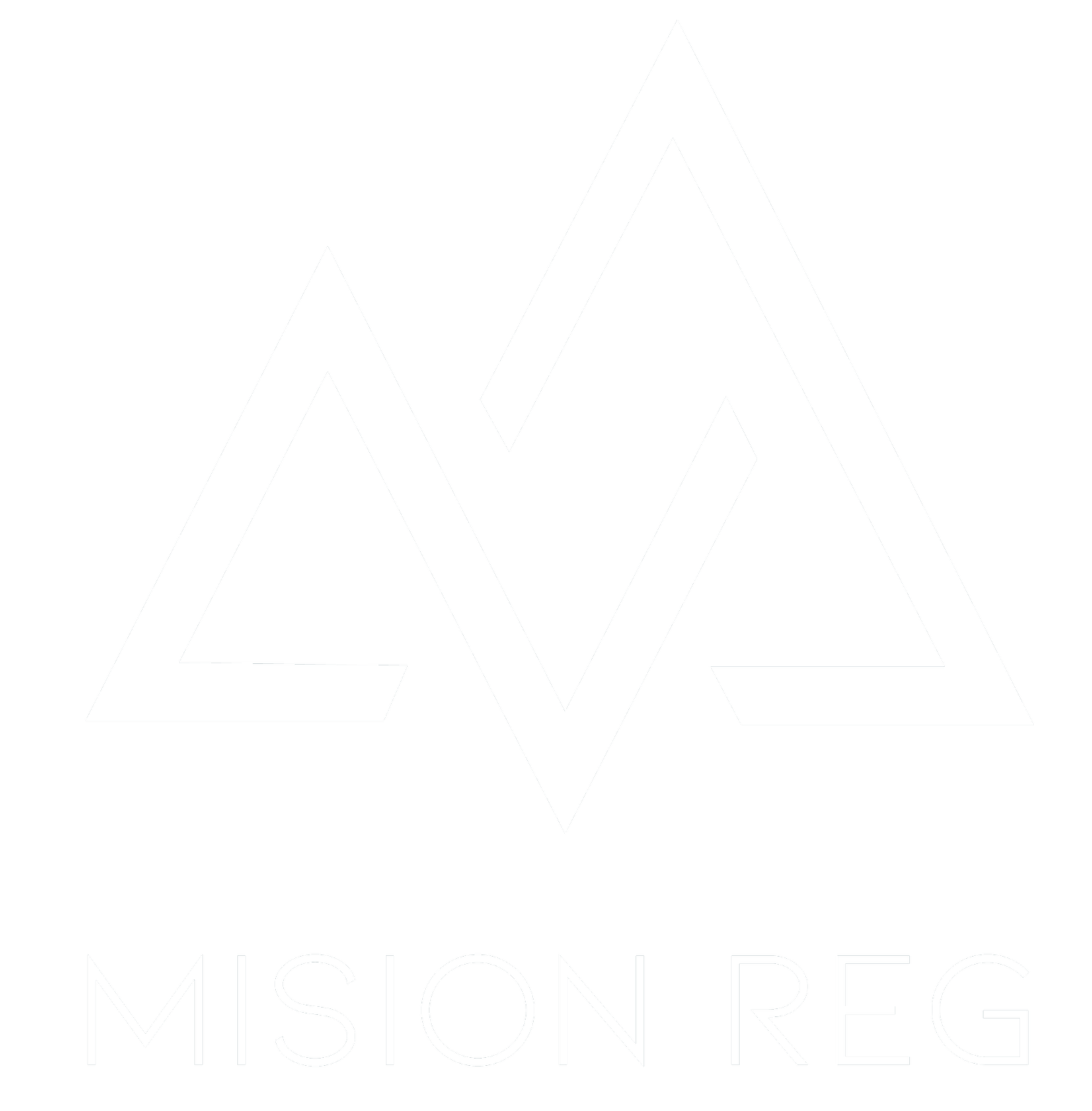 Mision Reg