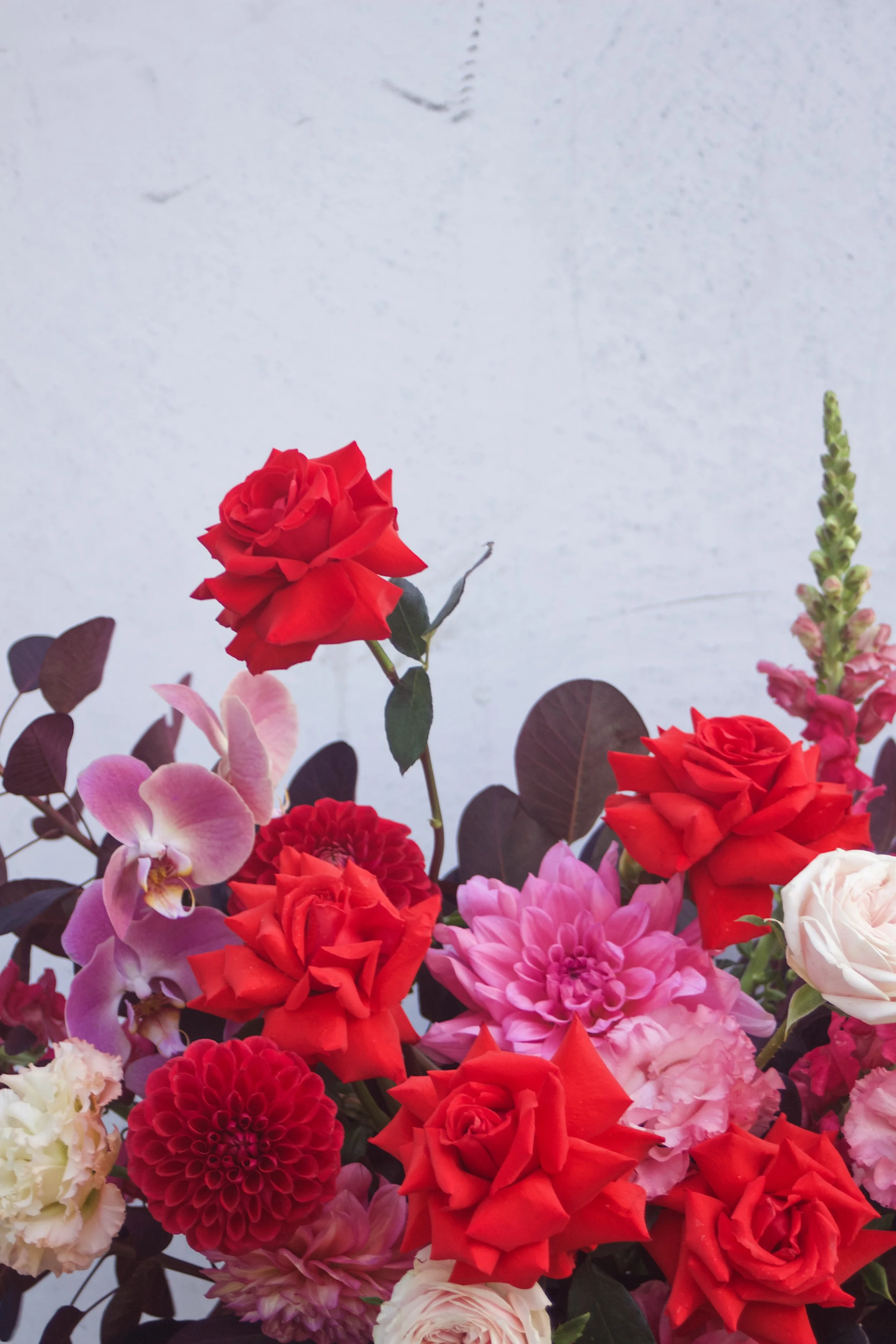 Valentines_Flowers_Red_Roses_Hydrangeas_Brighton_Valentines_Flowers_Vday_ideas