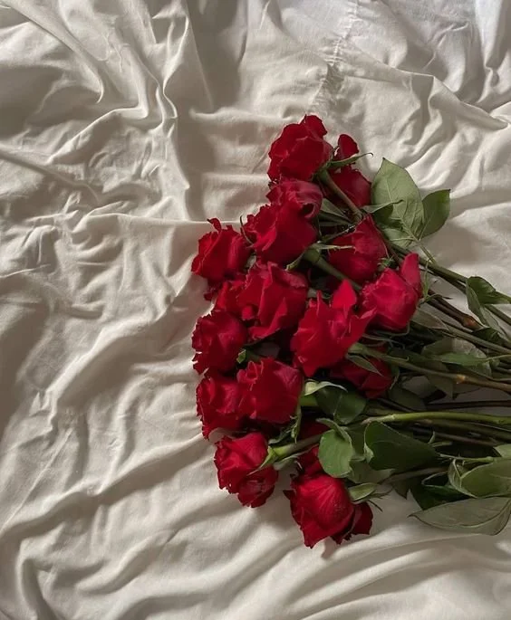 Valentines Red Roses