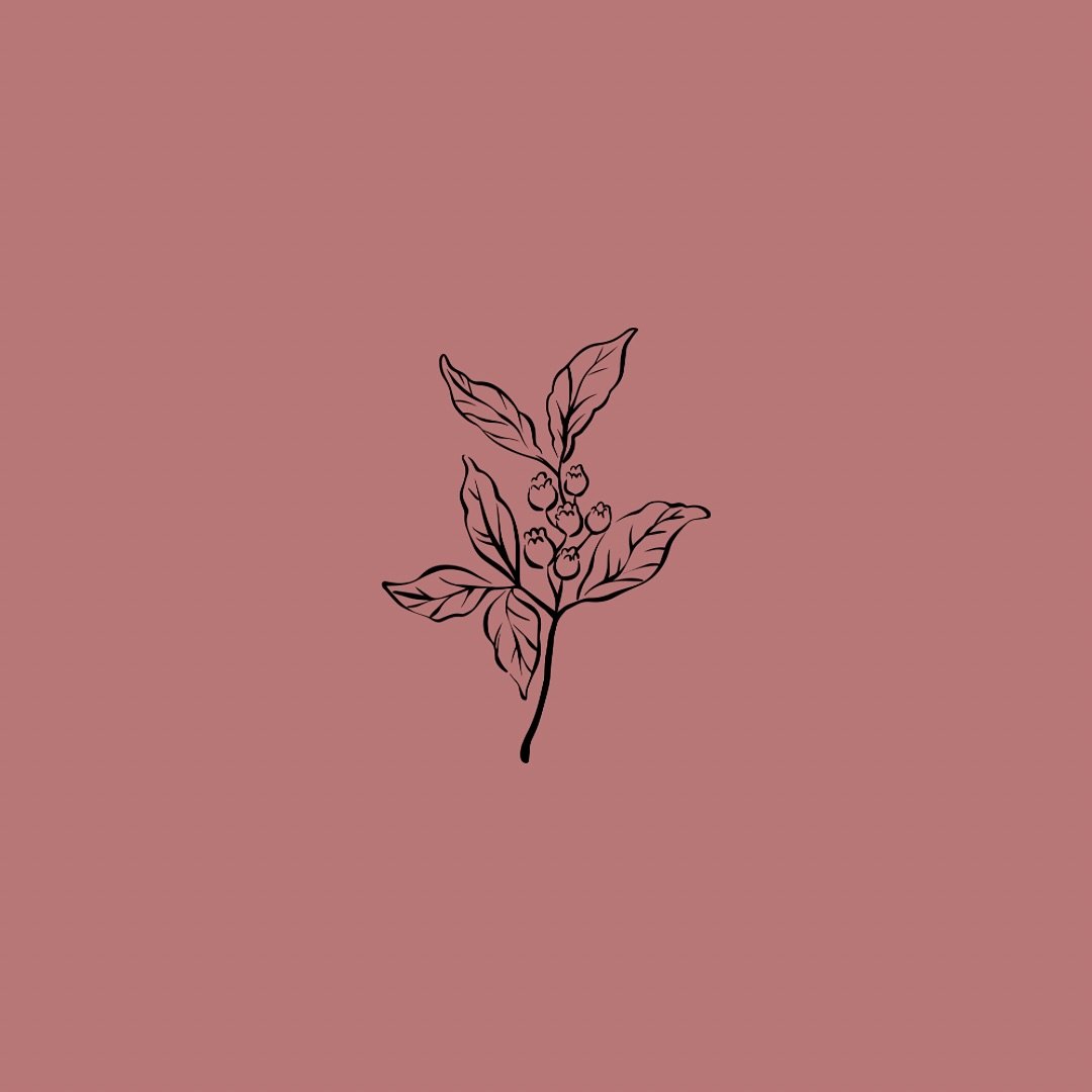 @pashflowers
