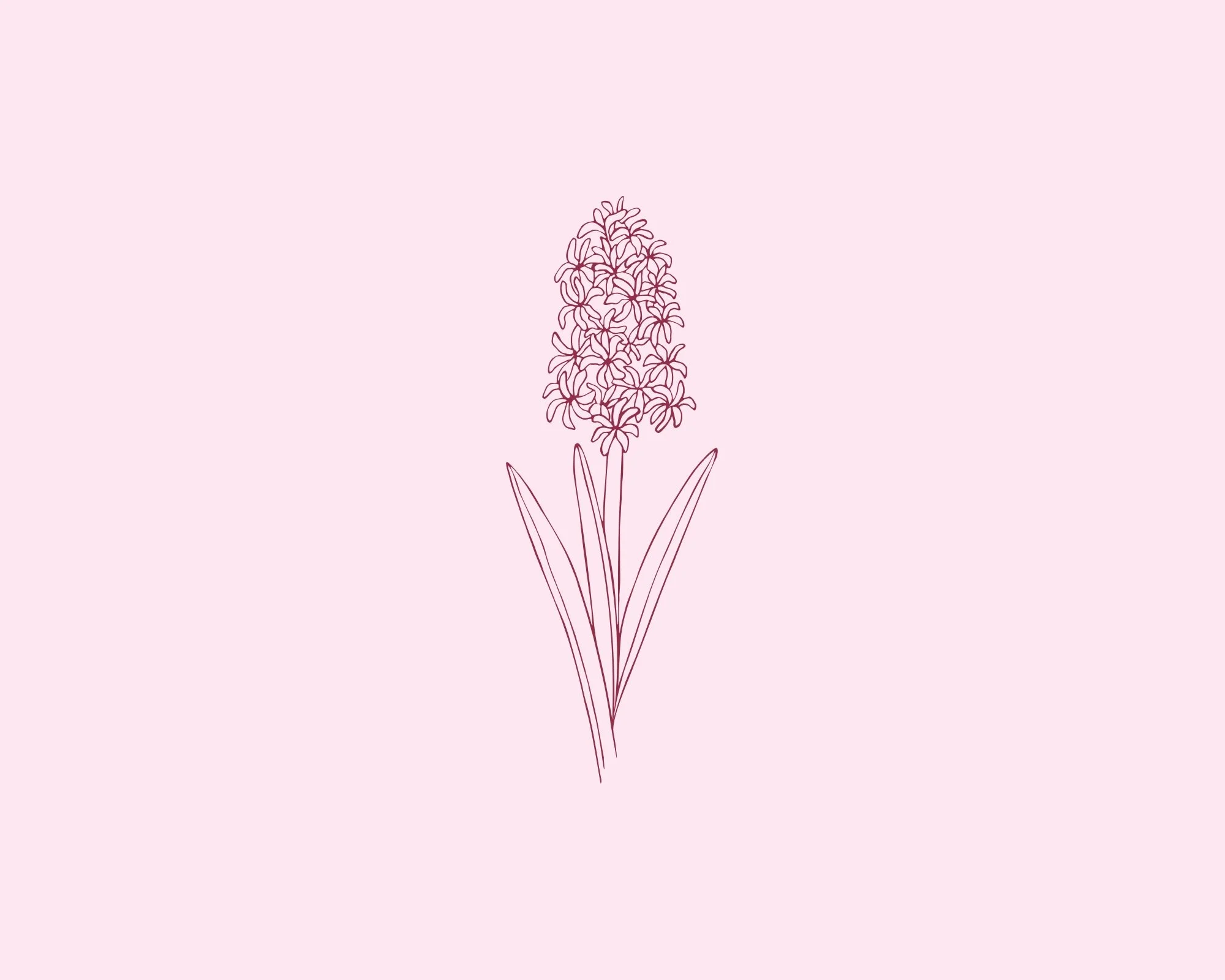 @pashflowers