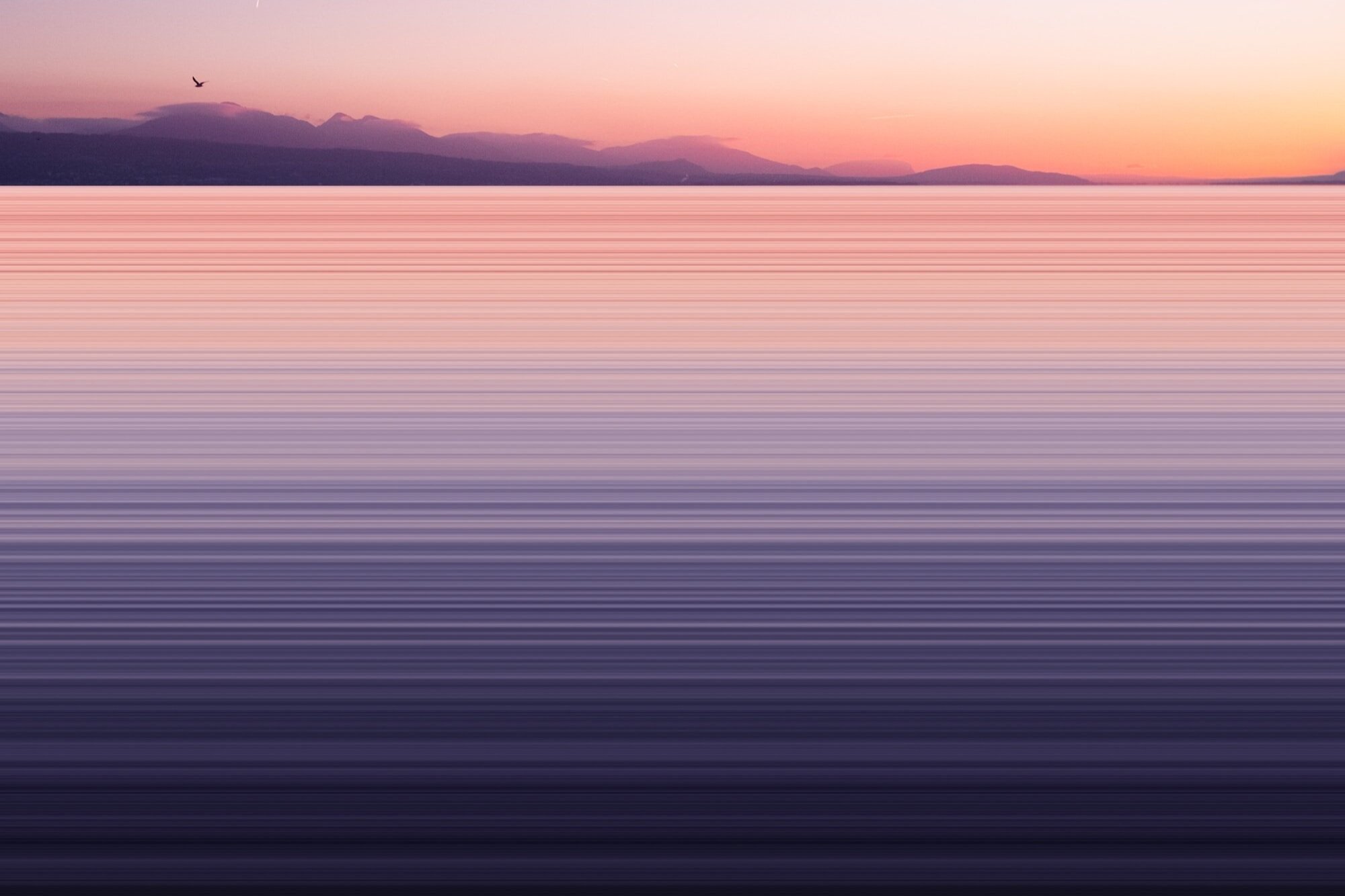 image-asset.jpg