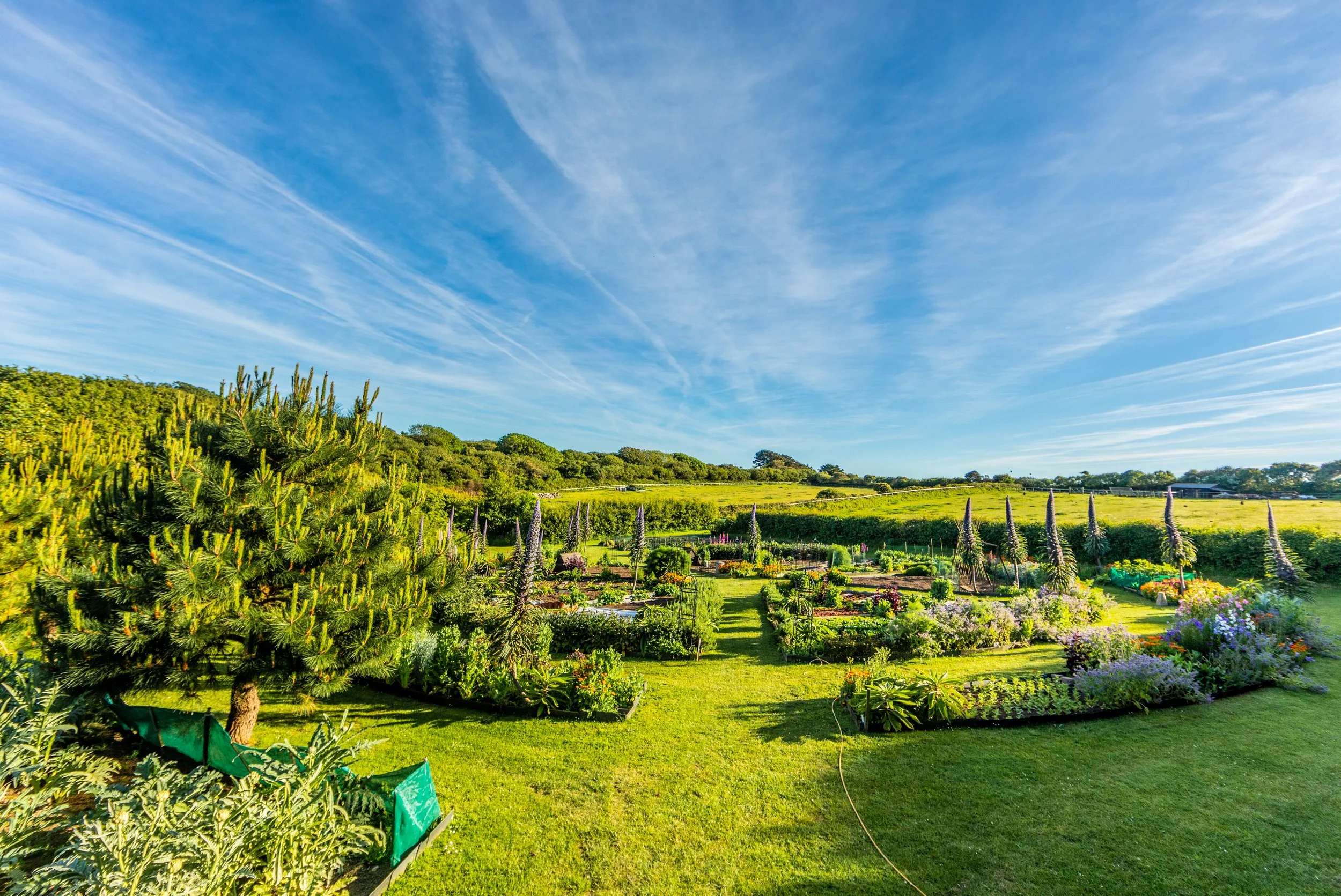 Permagarden from top.jpg