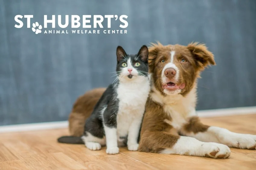 Supporting St. Hubert’s Animal Welfare Center