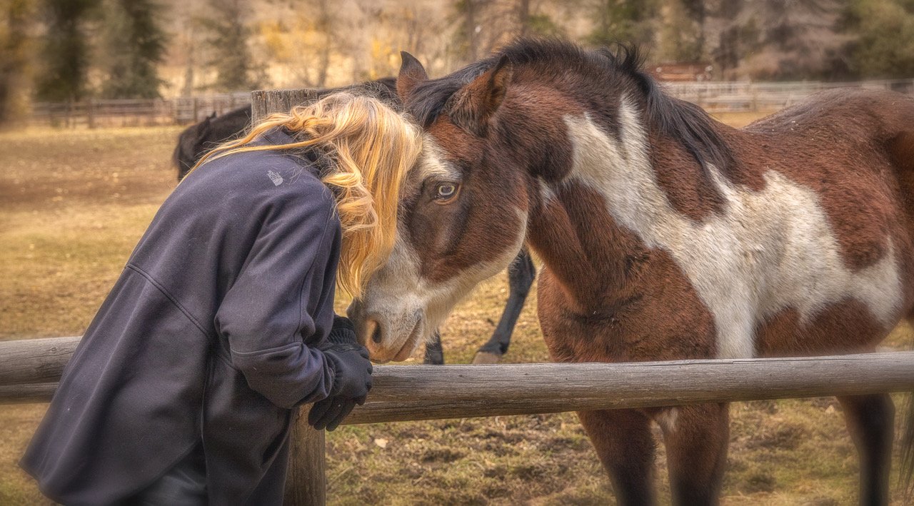 horses at UXU ranch at the stables.jpg