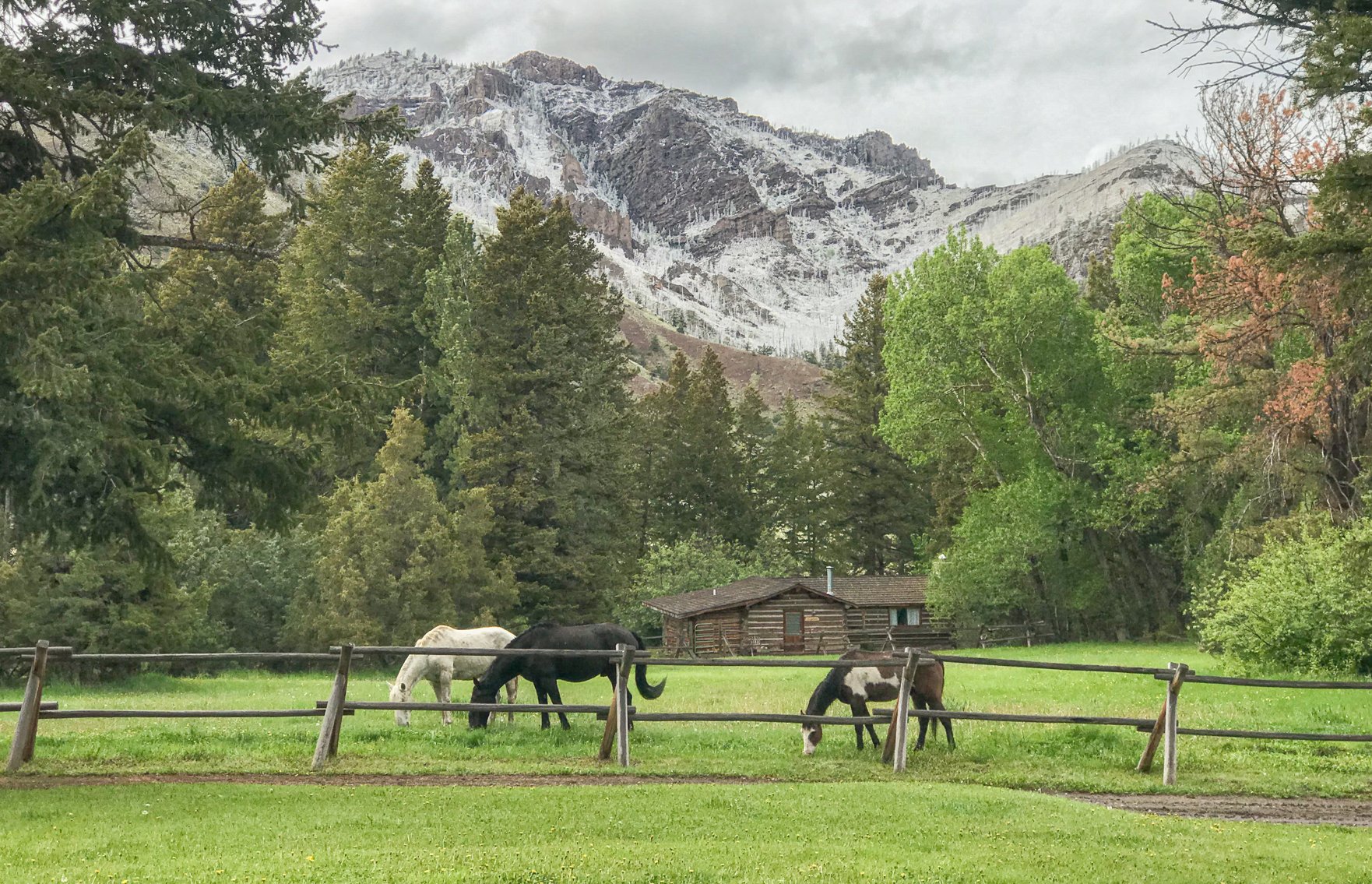 uxu landscape cabins horses.jpg