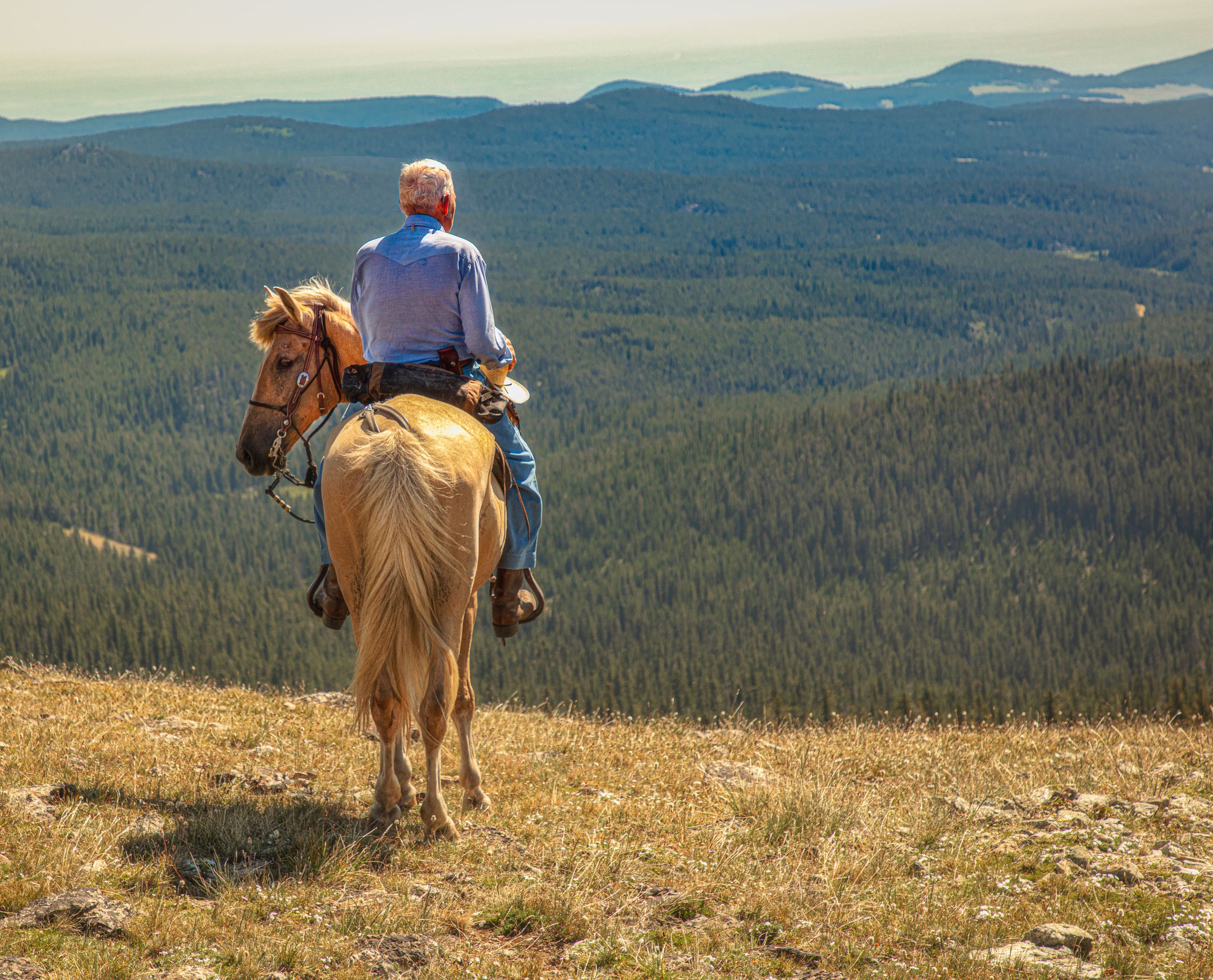 A-rider-on-the-trail-uxu ranch copy.jpg