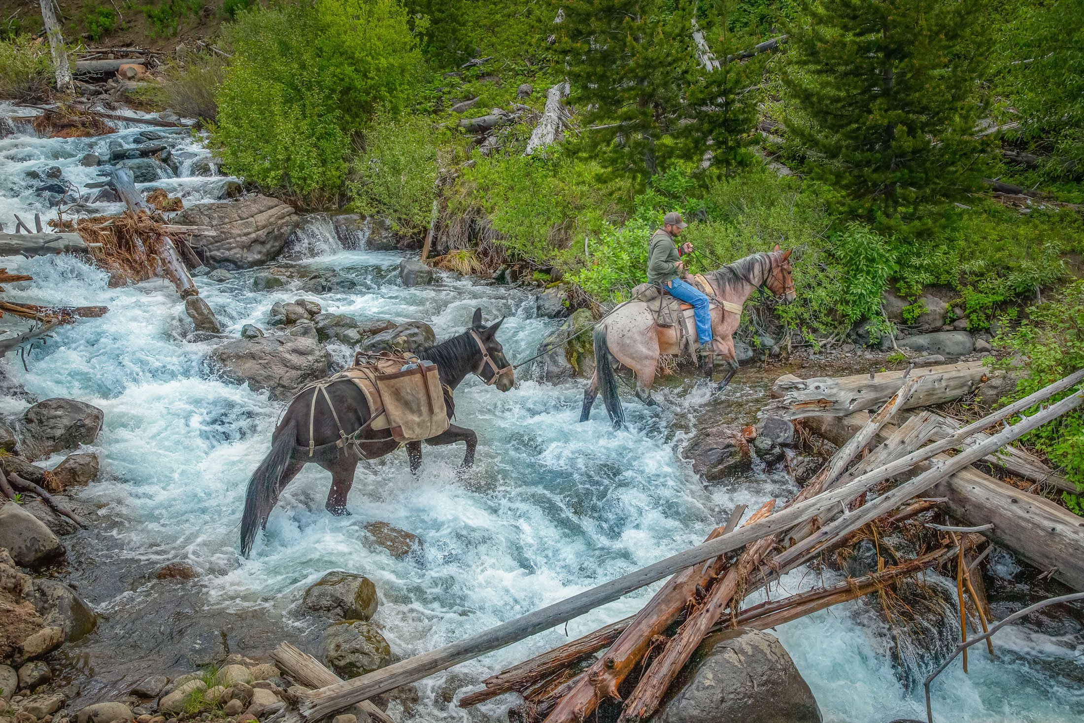 Trail-Rides-UXU-Ranch-Lookin-for-Griz..R7.jpg