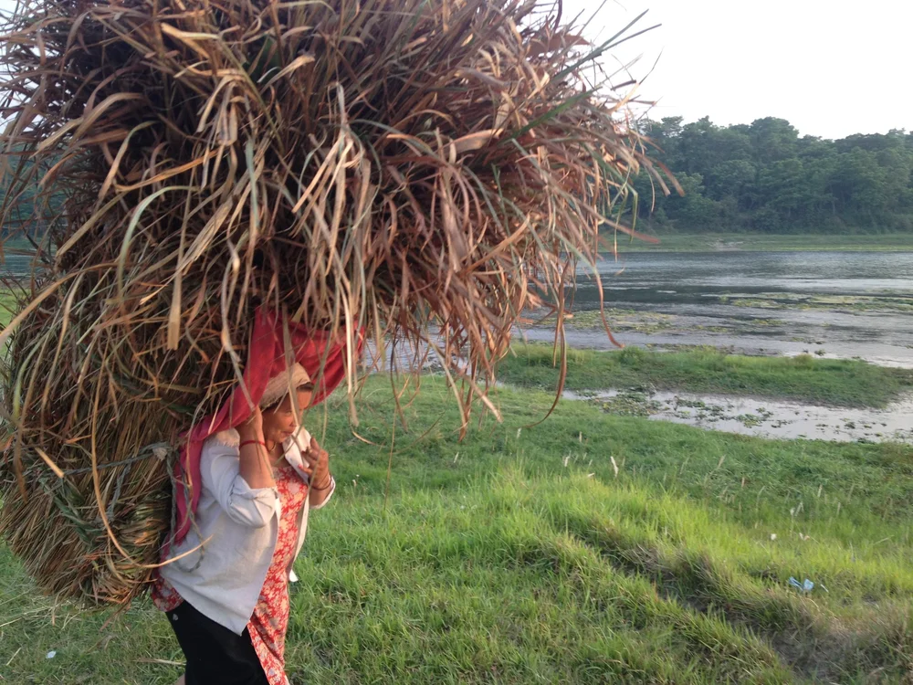 Biogas in the Chitwan District