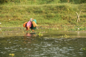 Biogas in the Chitwan District