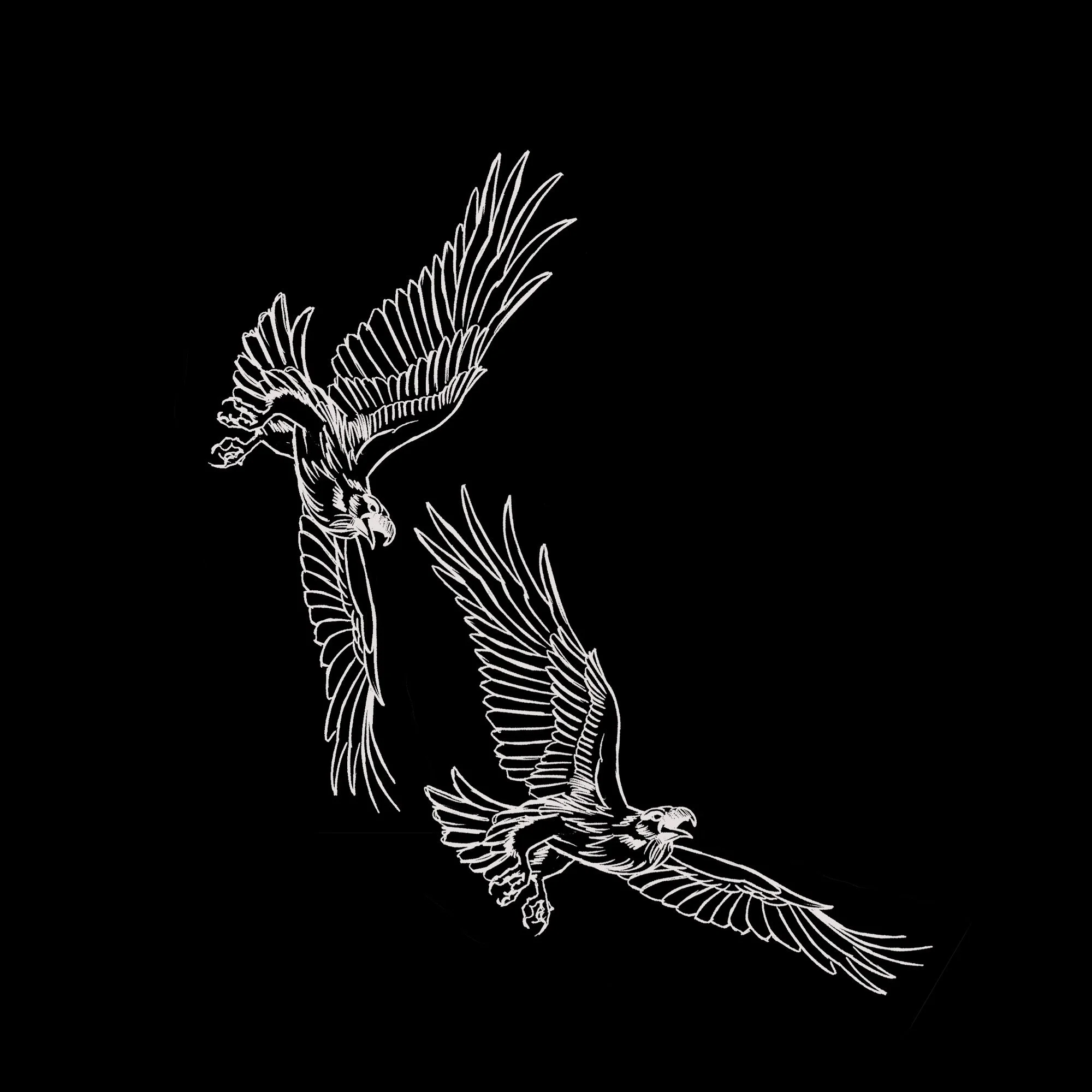 Birds of Prey