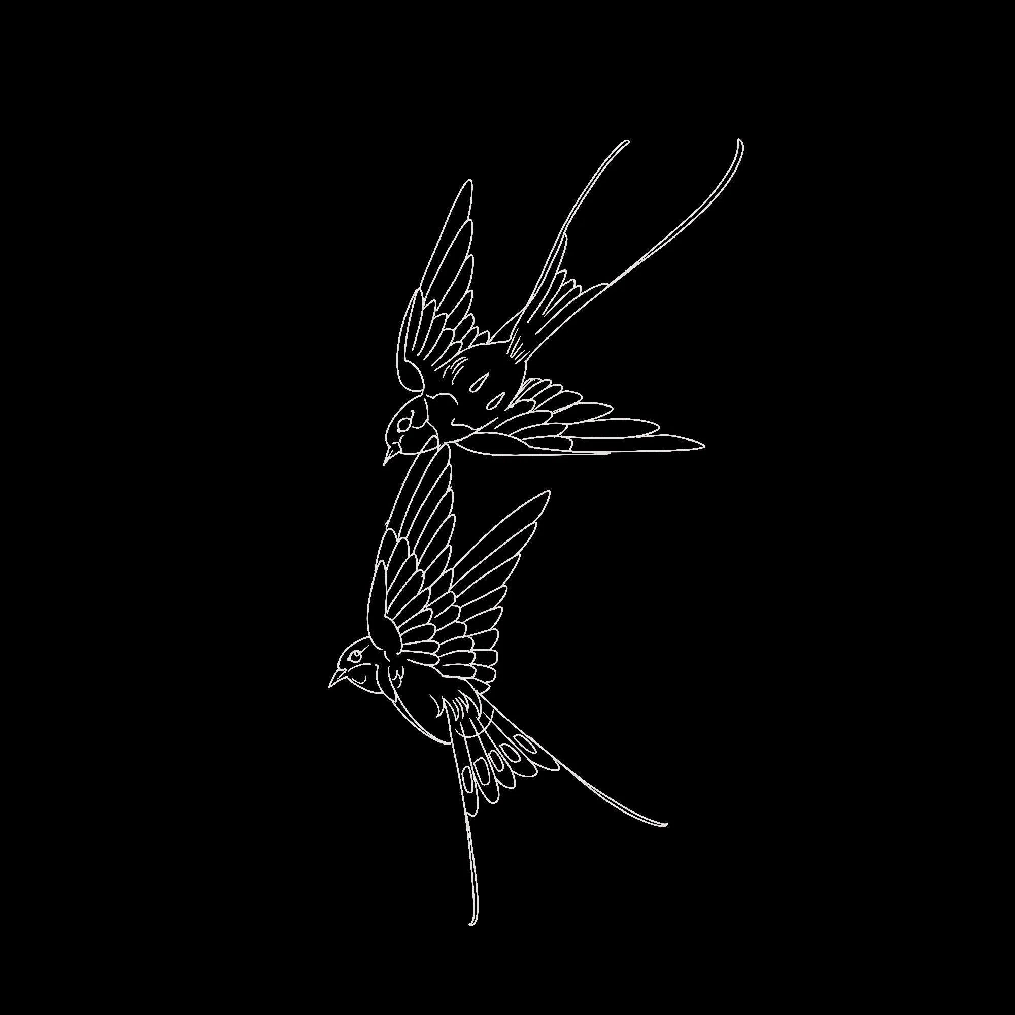 Hummingbirds