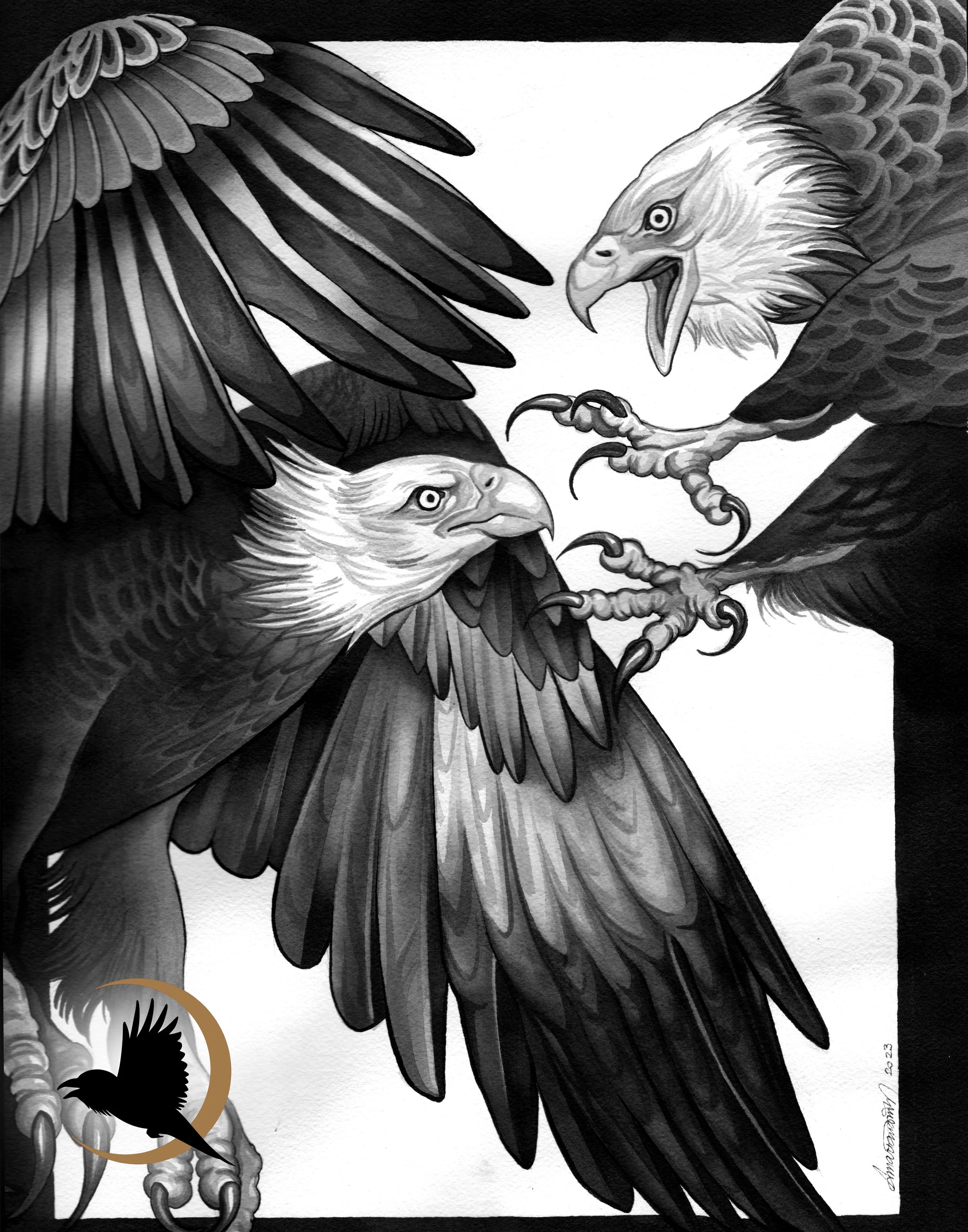Fight & Flight
