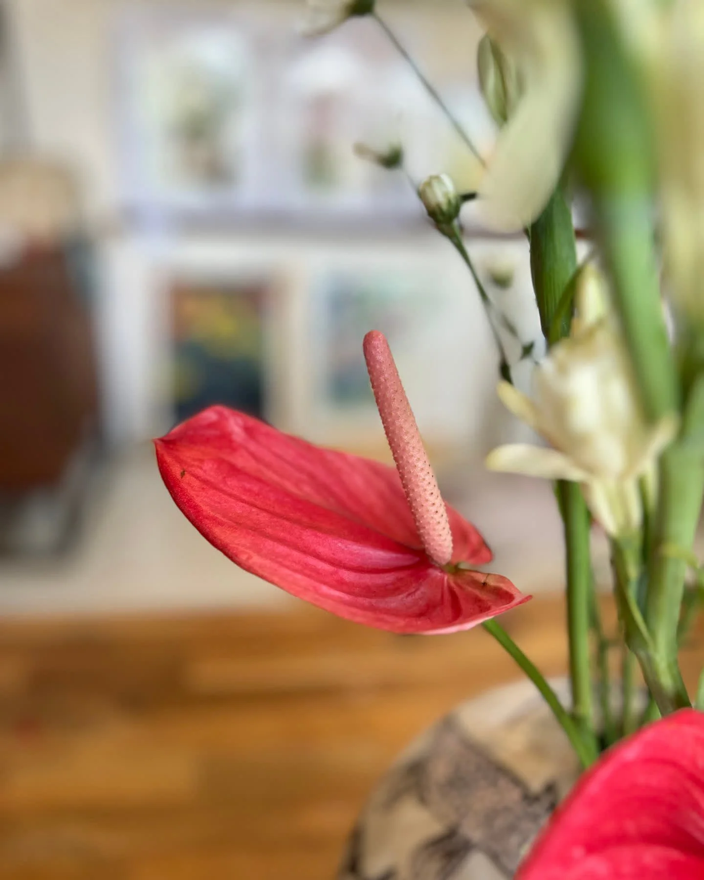 Monday Mornings in Ubud&hellip;

There's something magical about the way Ubud wakes up on a Monday.

The air is still soft from the night rain. Incense curls from tiny offerings on doorsteps. Roosters call across the rice fields like they've got impo