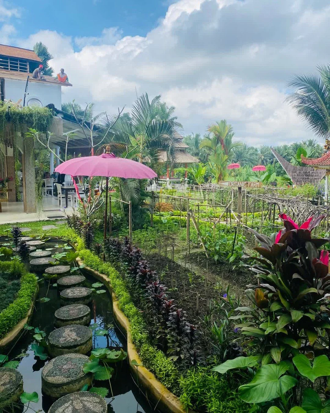 Ubud has long been known as Bali's creative heart.

Painters, sculptors, photographers, and makers from around the world come here for inspiration.

At Zanzibar Art House Gallery we love being part of that creative community &mdash; a place where art