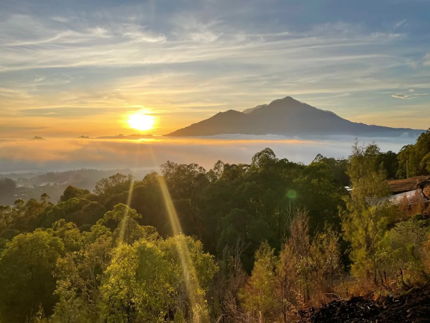 A gentle new energy fills Bali today after the quiet reflection of Nyepi 🌿✨

The island slowly comes back to life &mdash; fresh, calm and full of inspiration. 

Happy Friday all 

#AfterNyepi #UbudArt #BaliInspiration