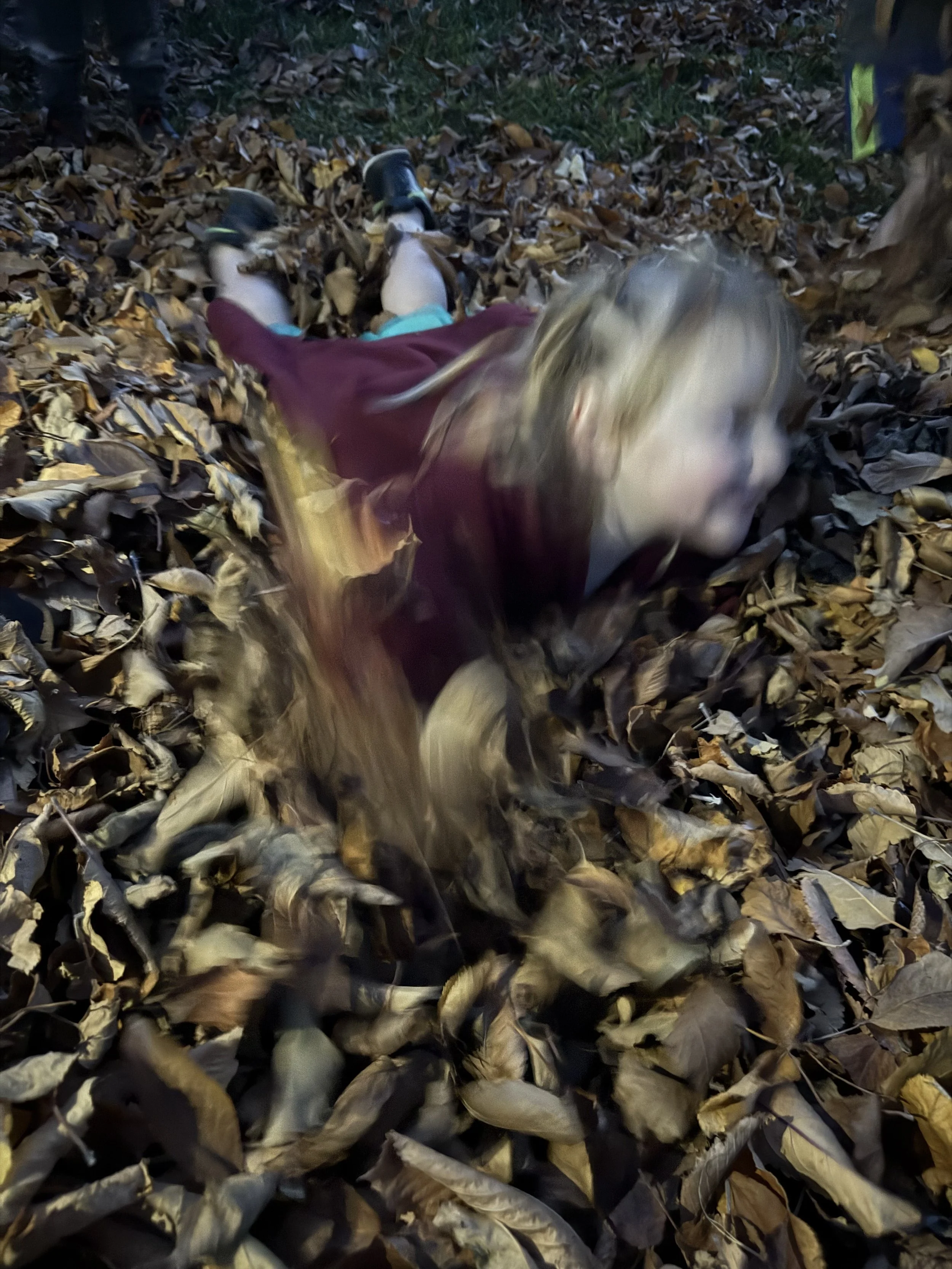 Piles &amp; Piles of Leaves