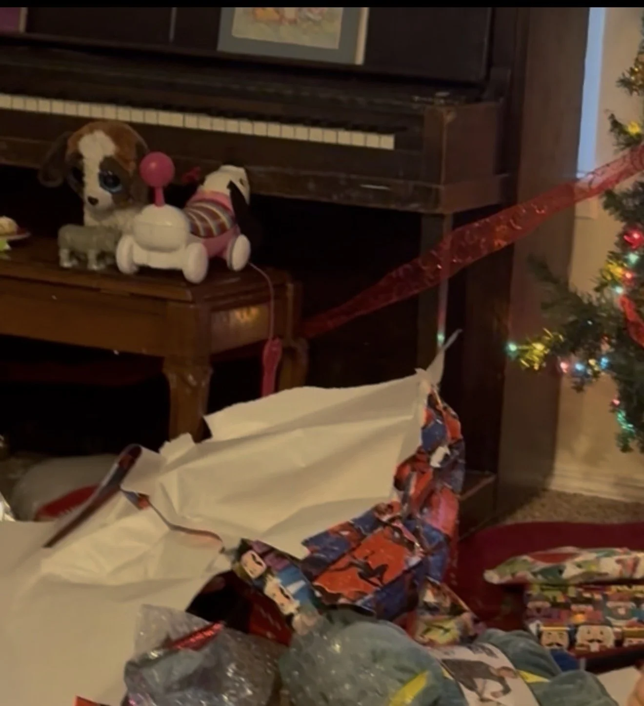 Messes Everywhere At Home