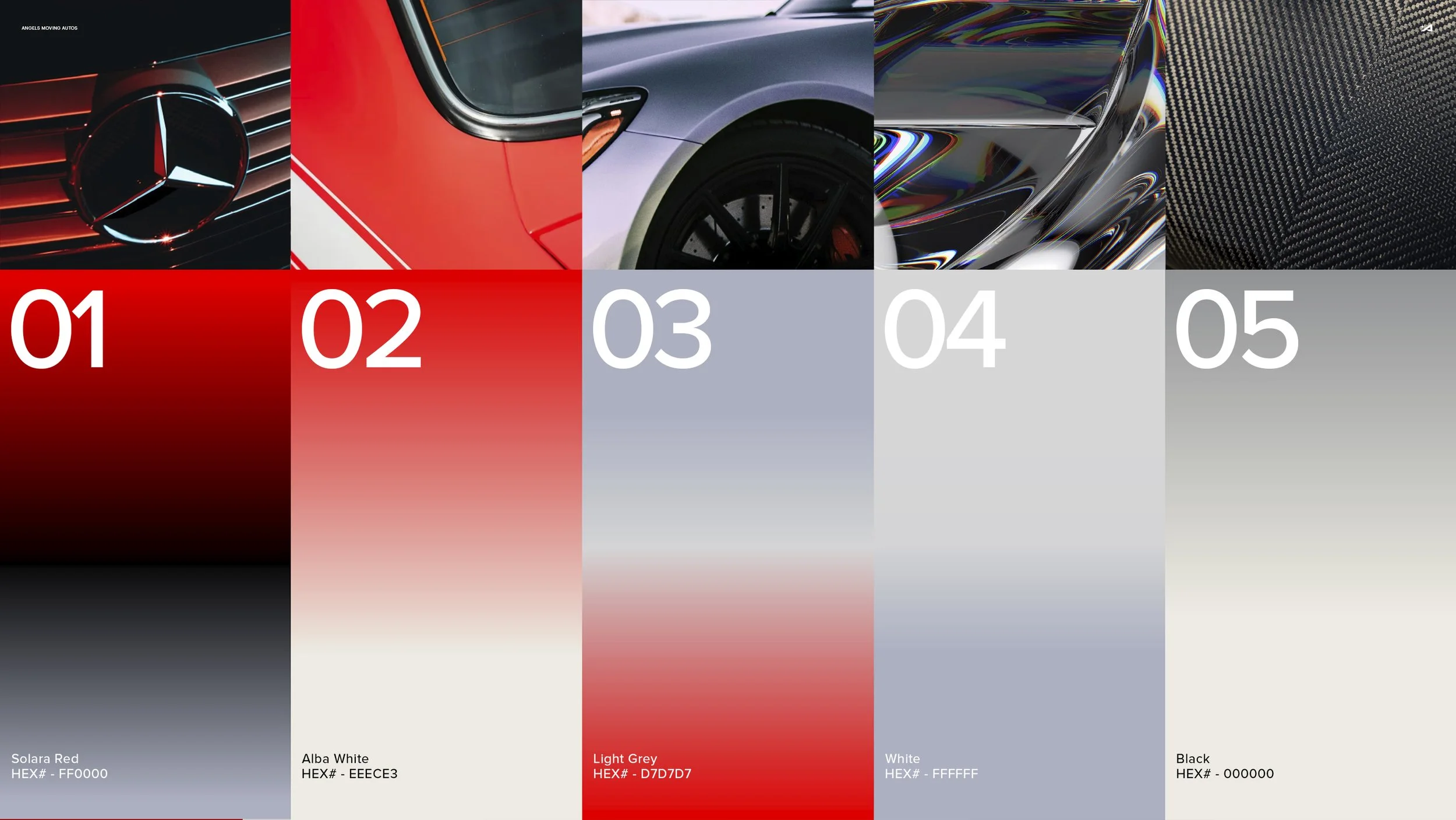 color2.jpg
