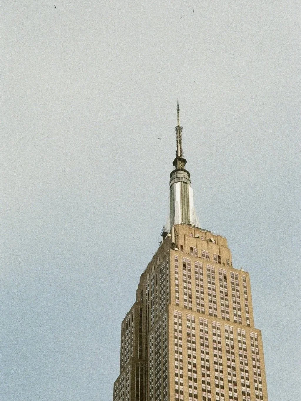 000145340032.jpg