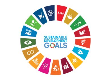 City of Melbourne: Helping small businesses connect everyday actions to the UNSDGS