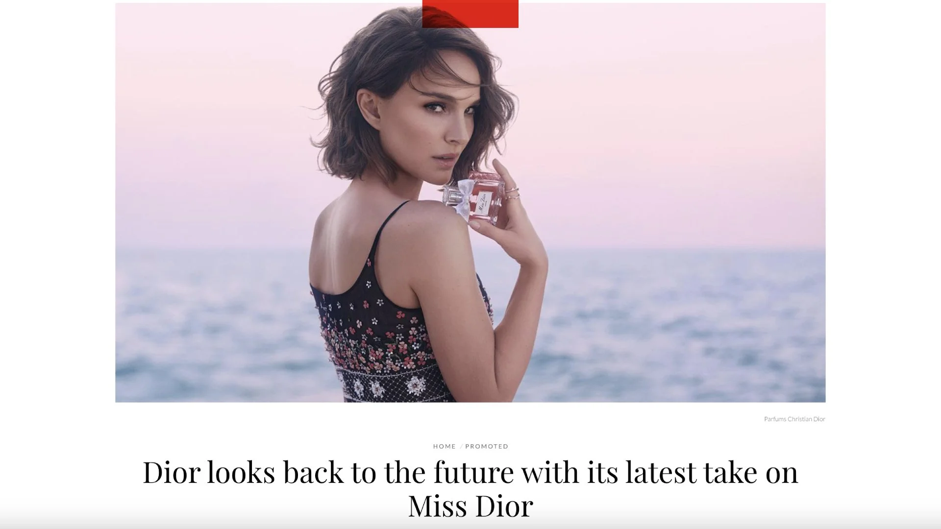 New Project - 2024-07-30T180020.780.jpg